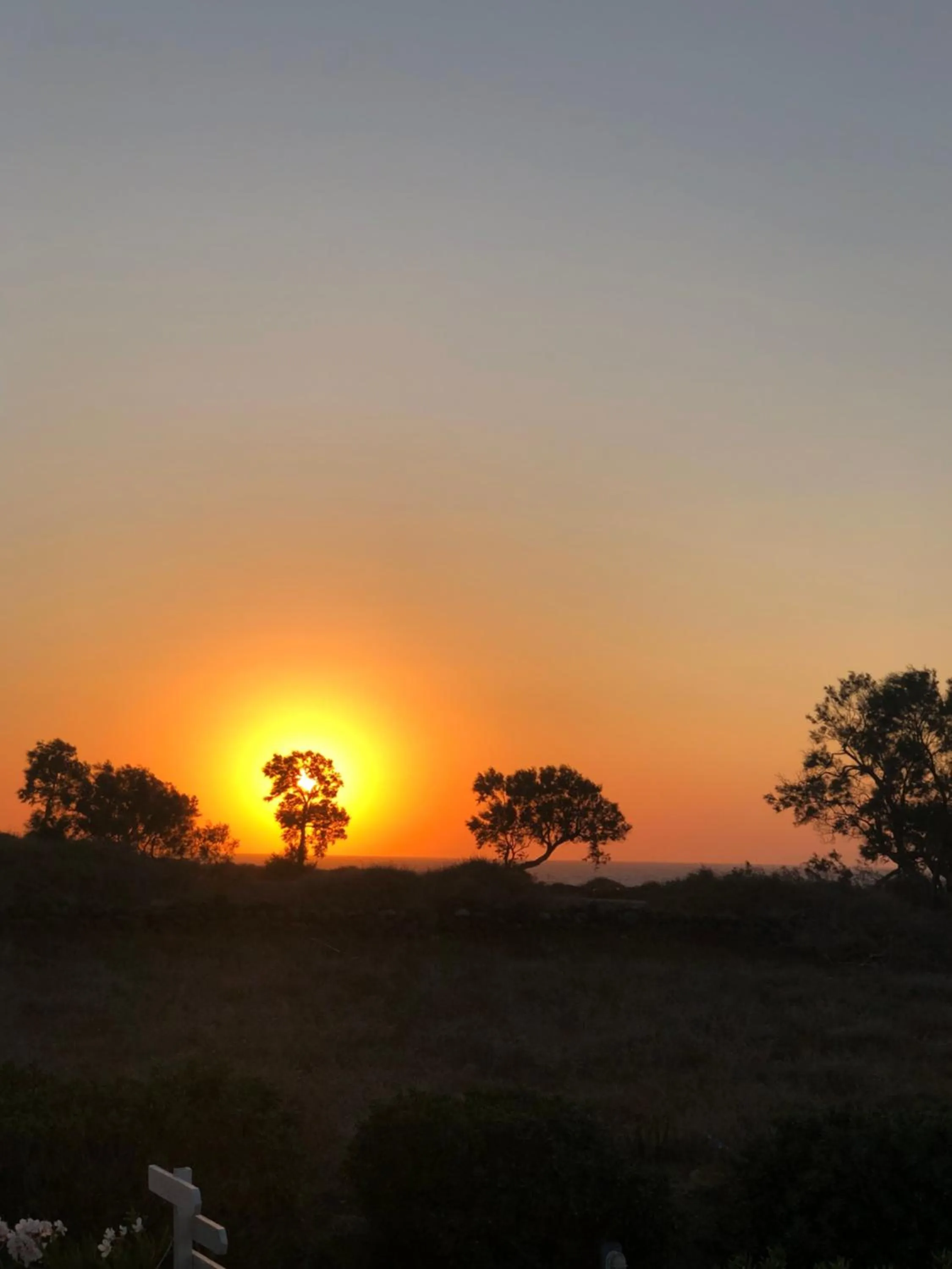 Natural landscape in Mare Nostrum Santo
