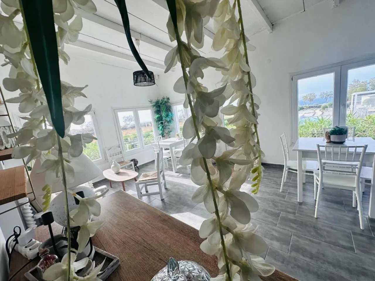 Restaurant/places to eat in Mare Nostrum Santo