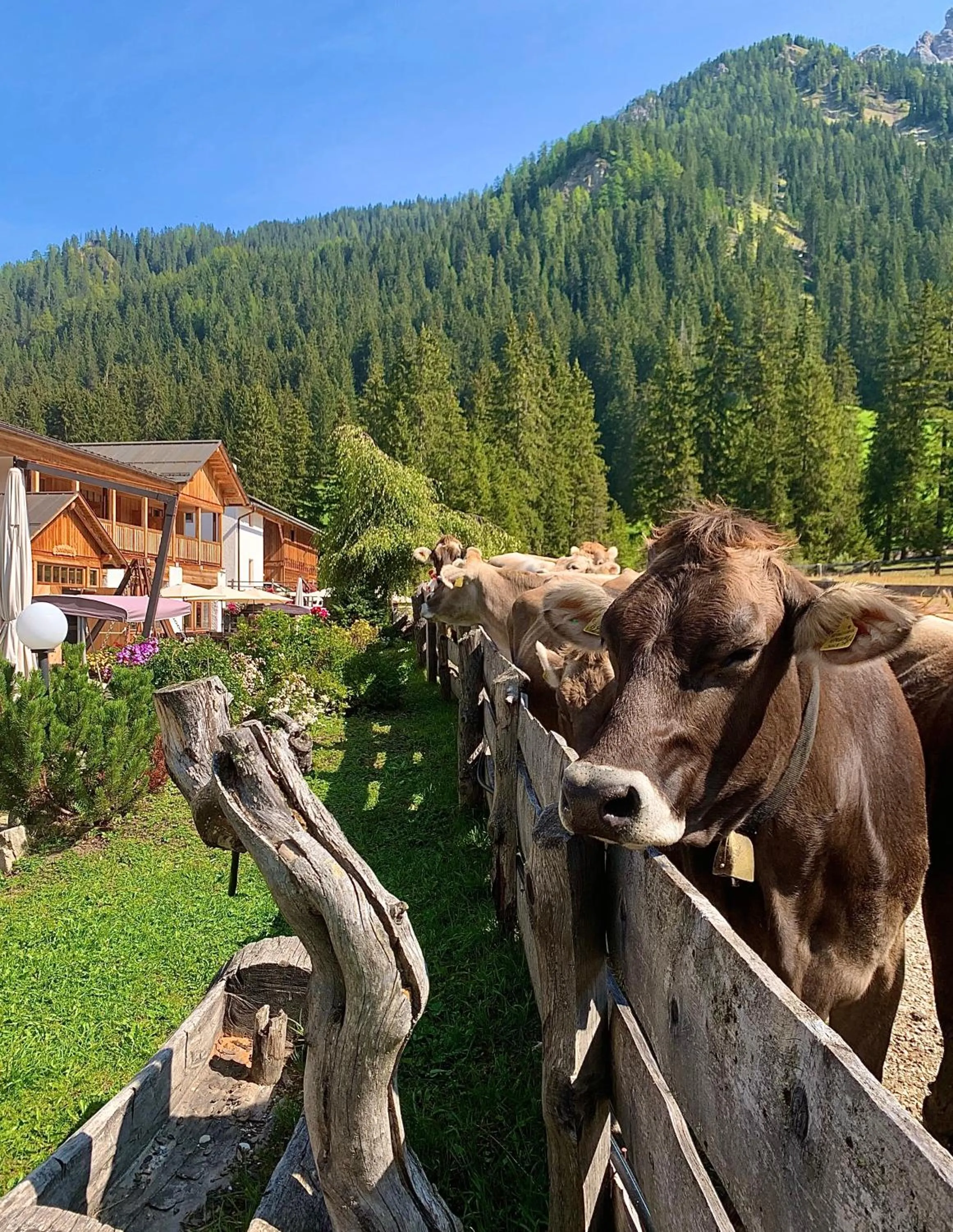 Property building in Alpin Natur Hotel Brückele