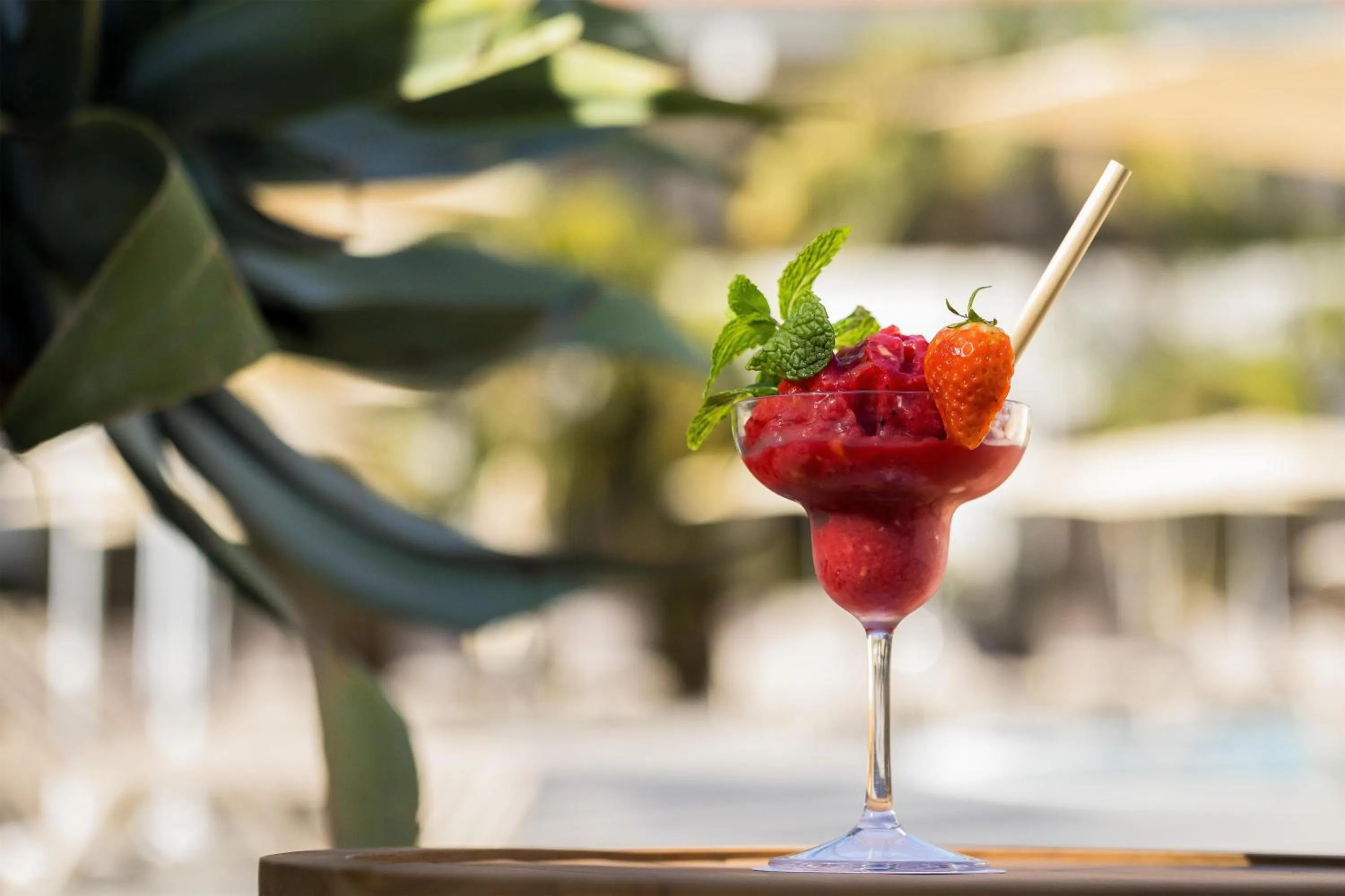 Garden in Radisson Resort & Residences Tenerife - Adults Only