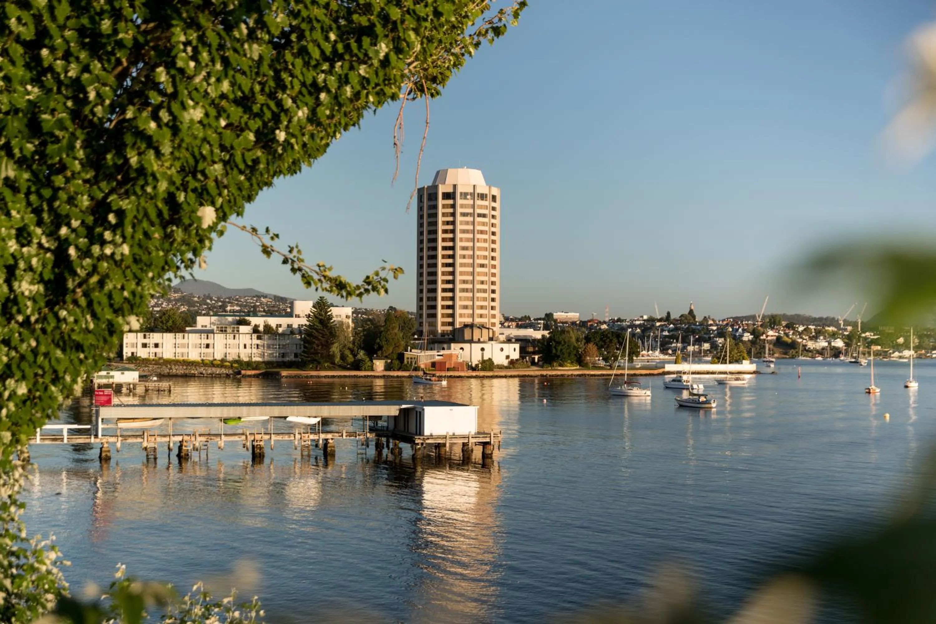 Property building in Wrest Point
