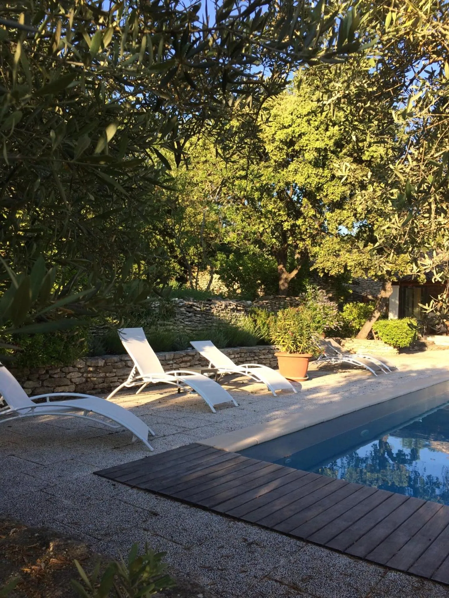 Swimming pool in Le Verger