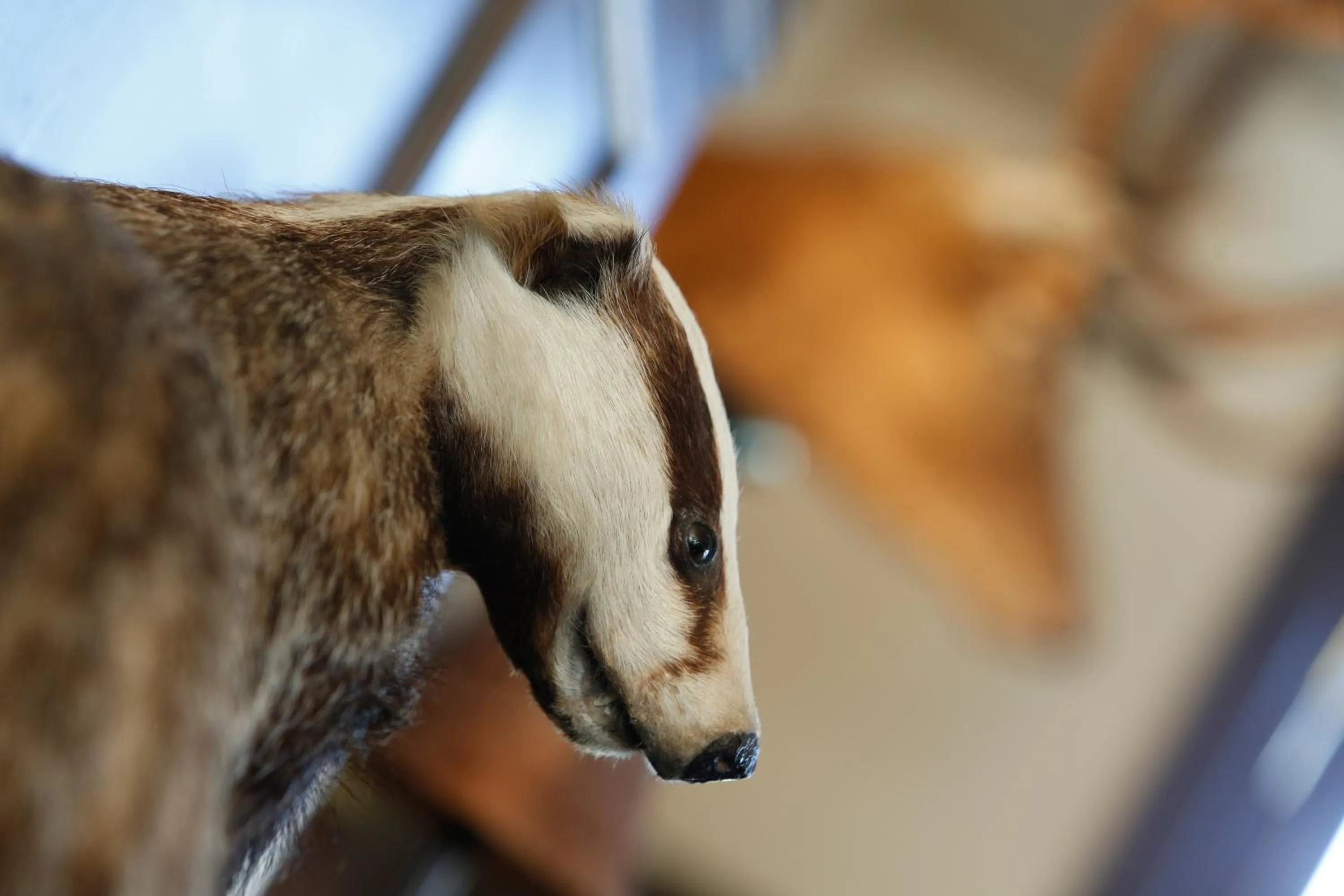 Decorative detail in BEST WESTERN The Crianlarich Hotel