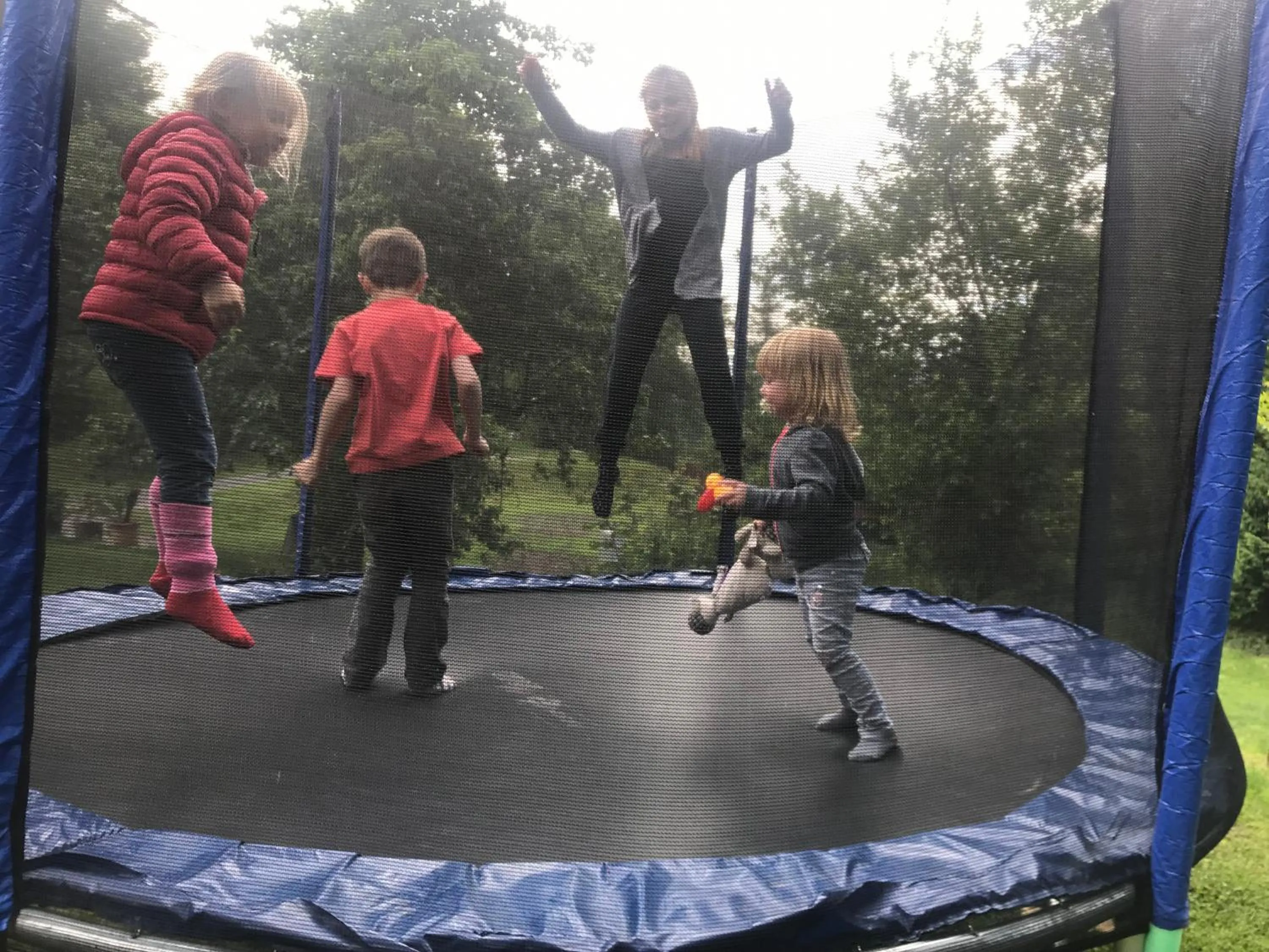 Activities in Lug ins Land