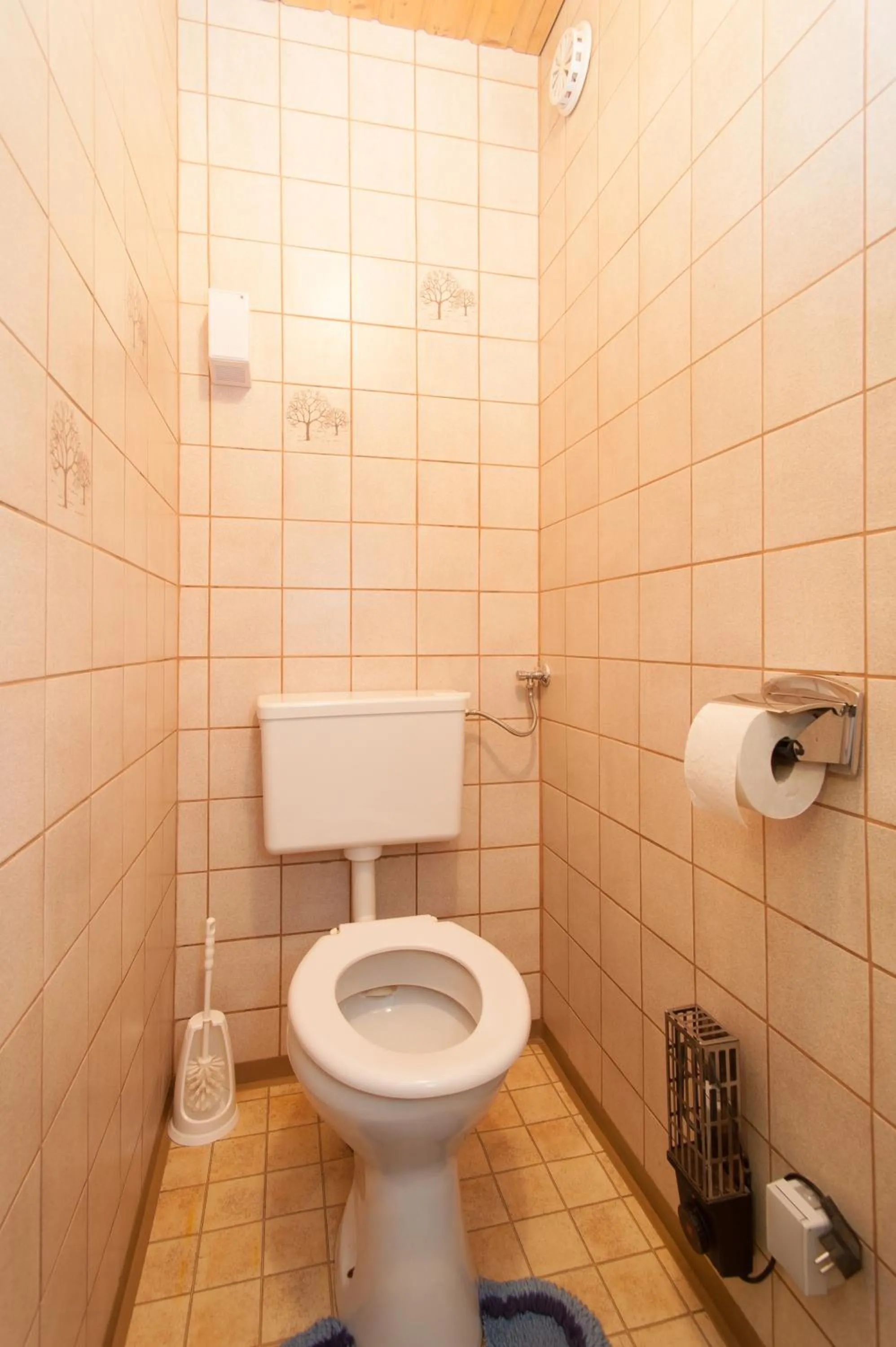 Toilet in Lug ins Land