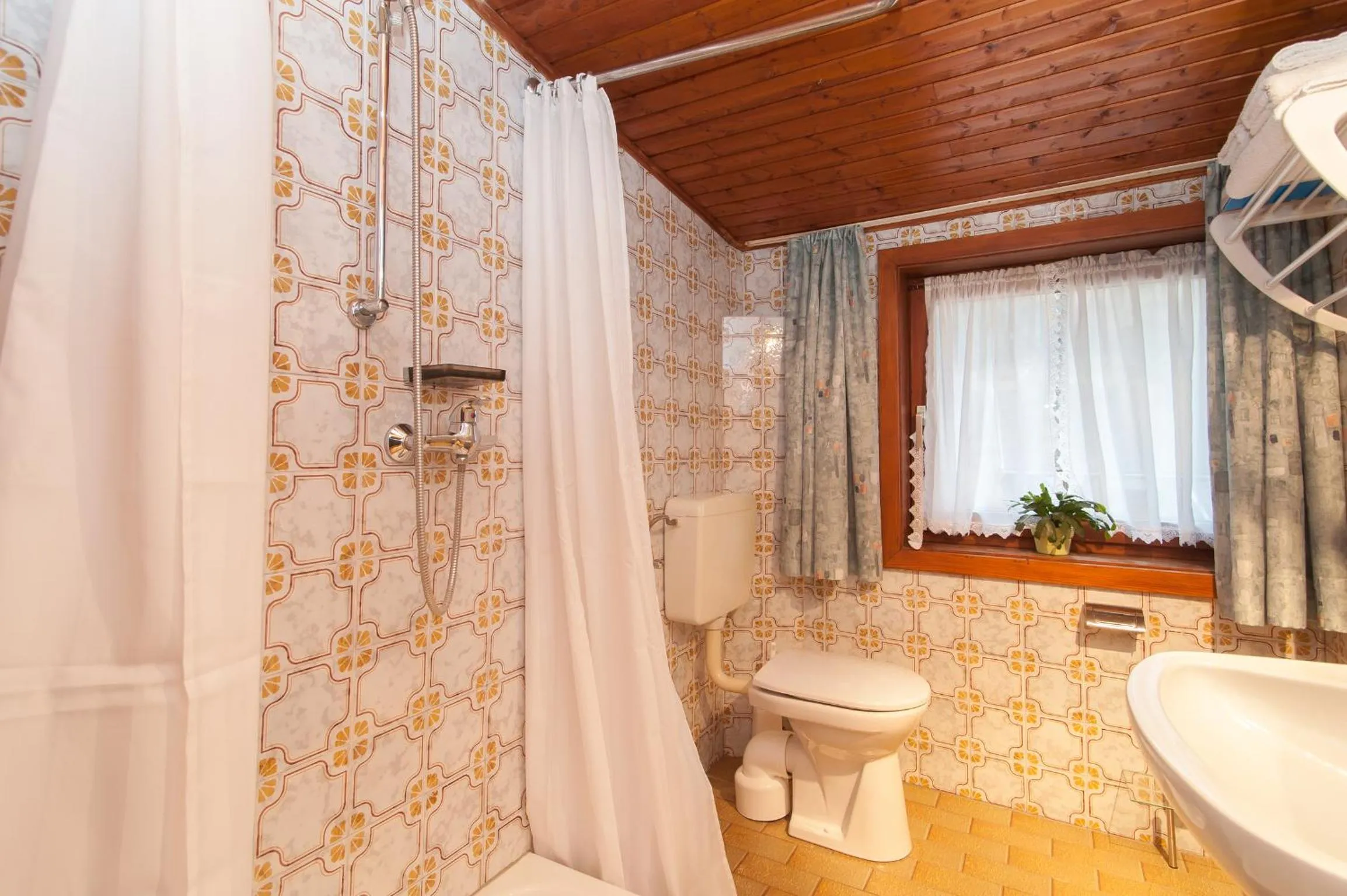 Shower in Lug ins Land