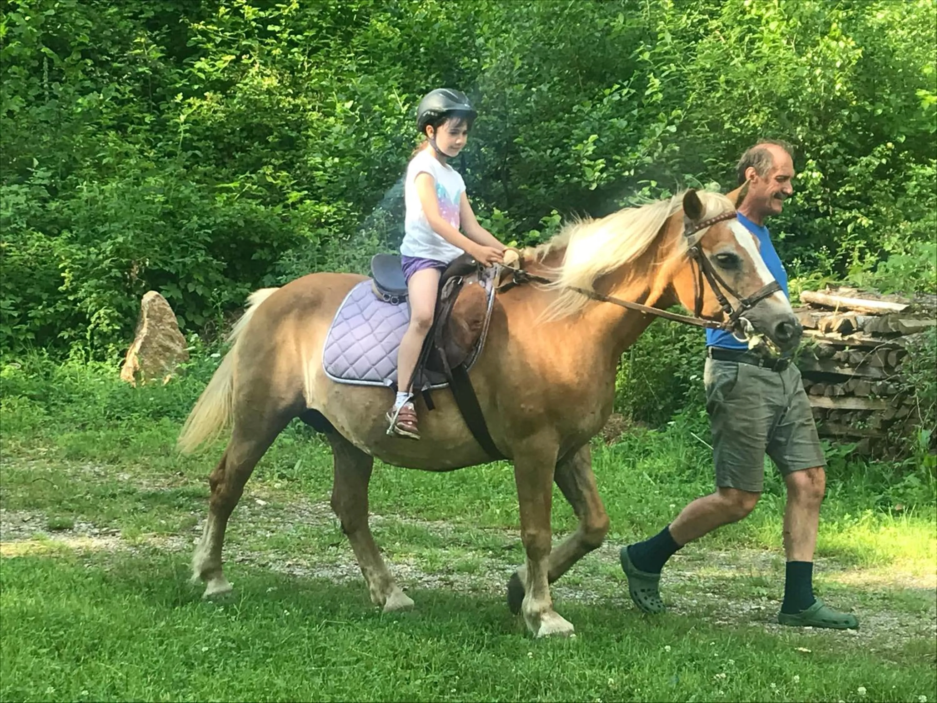 Animals in Lug ins Land