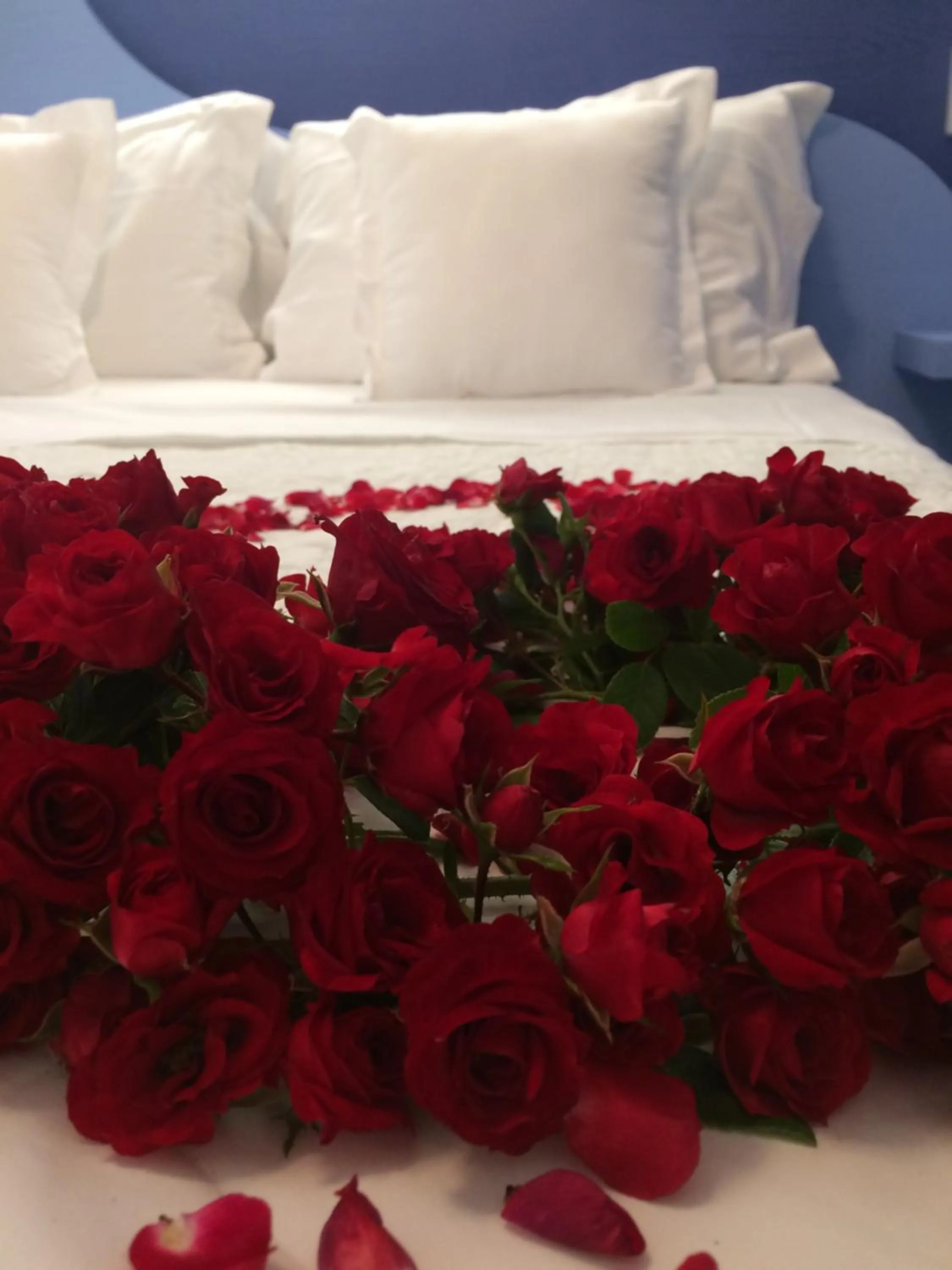 Decorative detail in B&B VIA ROMA 25