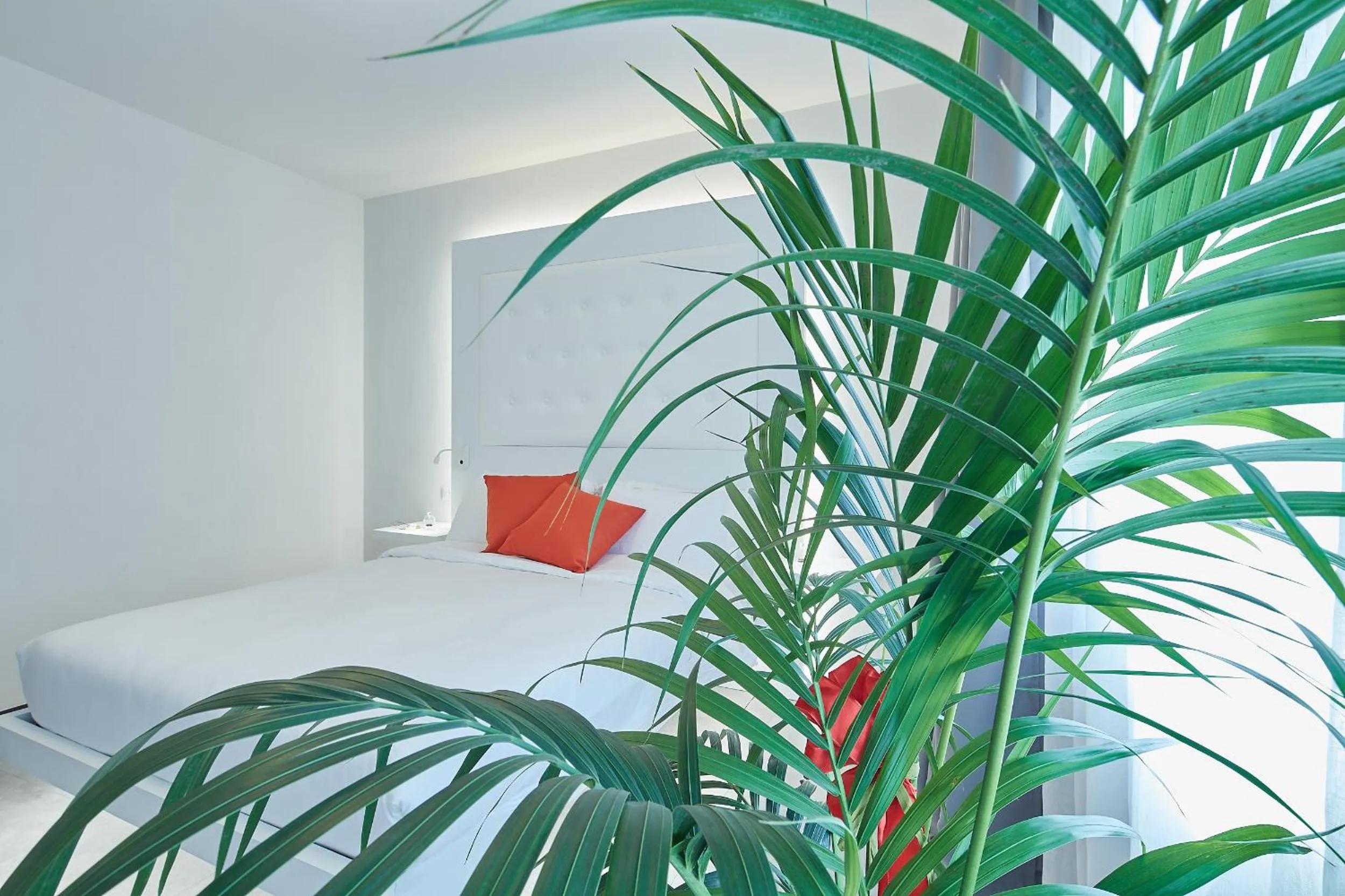 Photo of the whole room in B&B VIA ROMA 25