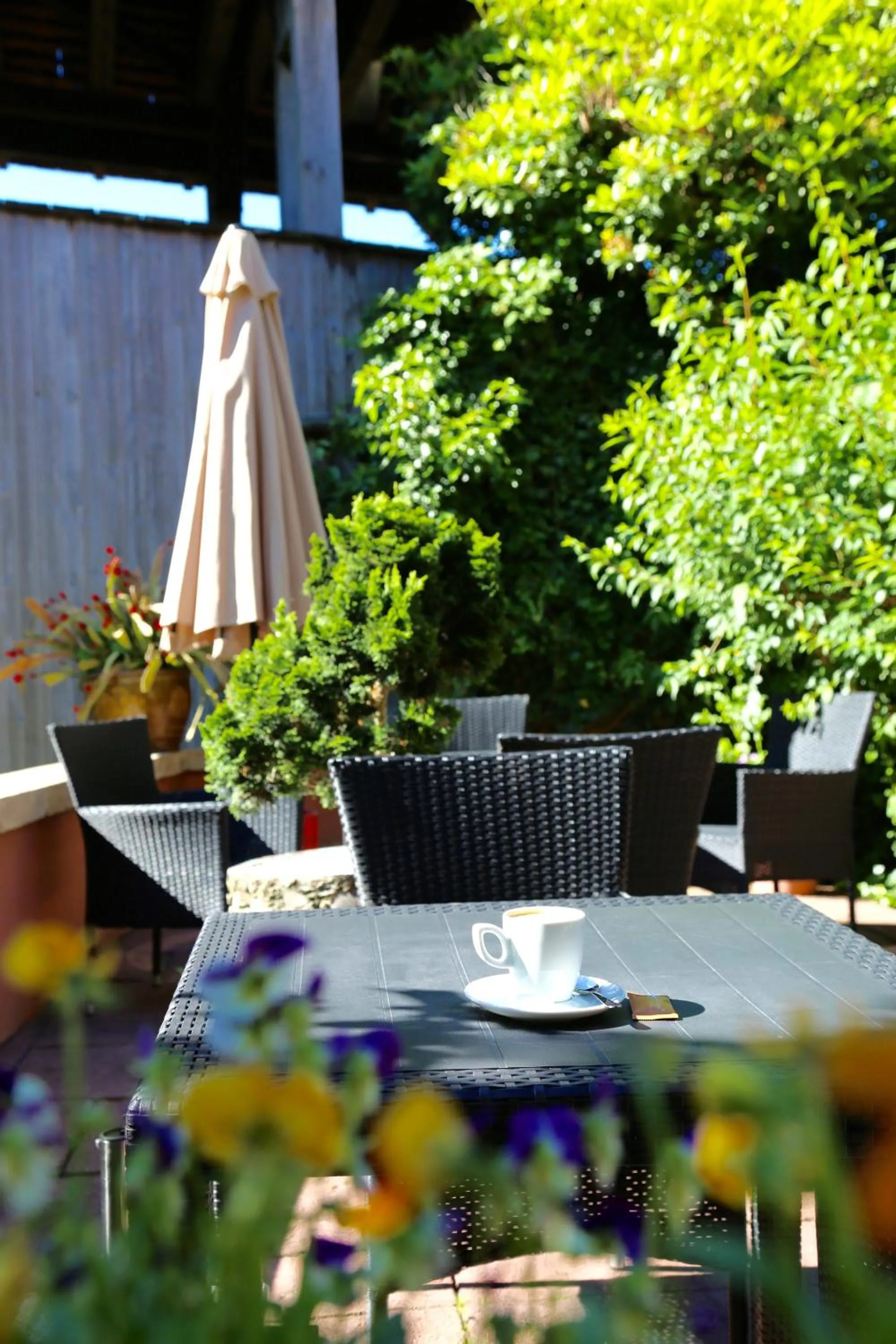 Garden in Das Waldhaus