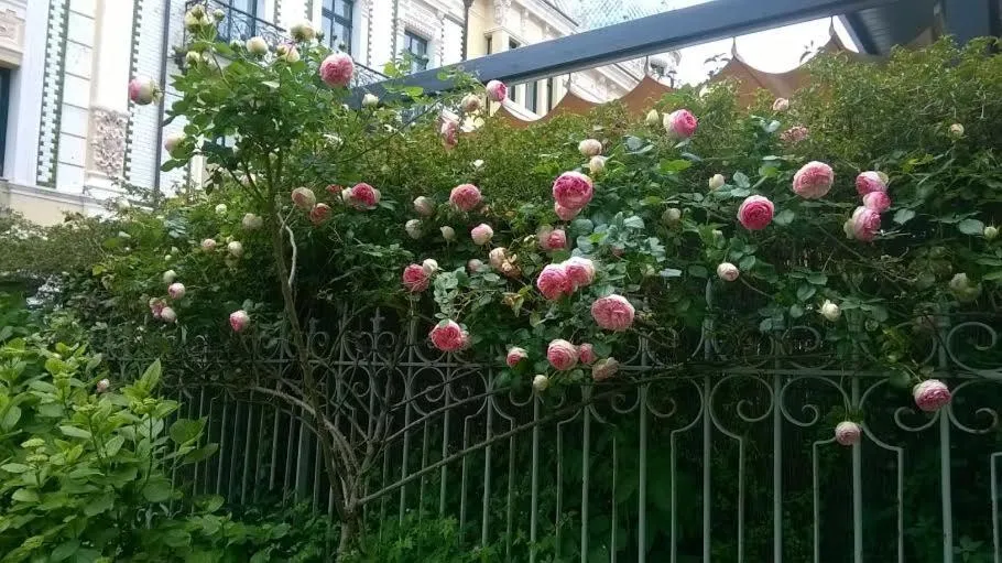 Property building in Albergue La Casona Del Peregrino