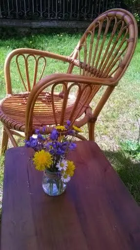 Garden in Albergue La Casona Del Peregrino