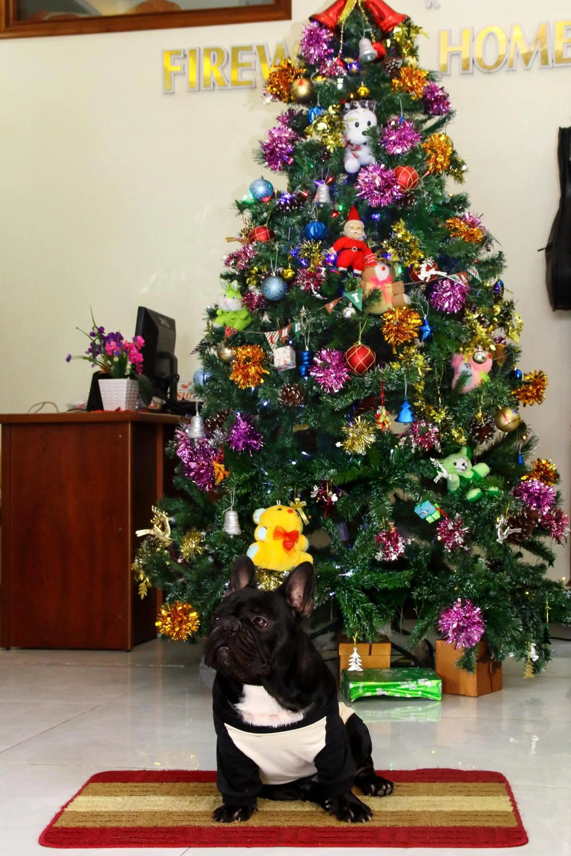 Lobby or reception in Fireworks Homestay