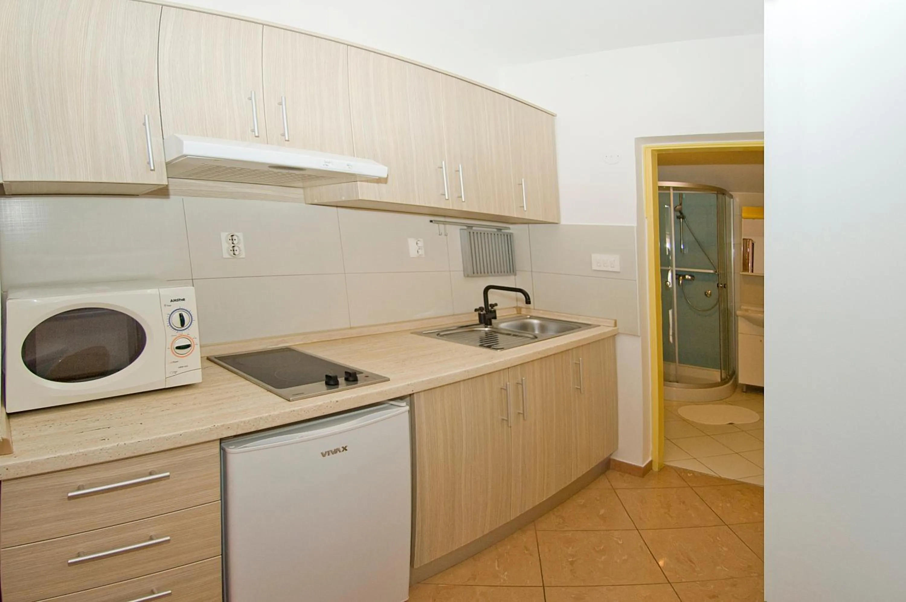 Kitchen or kitchenette in Apartments Tomato 1