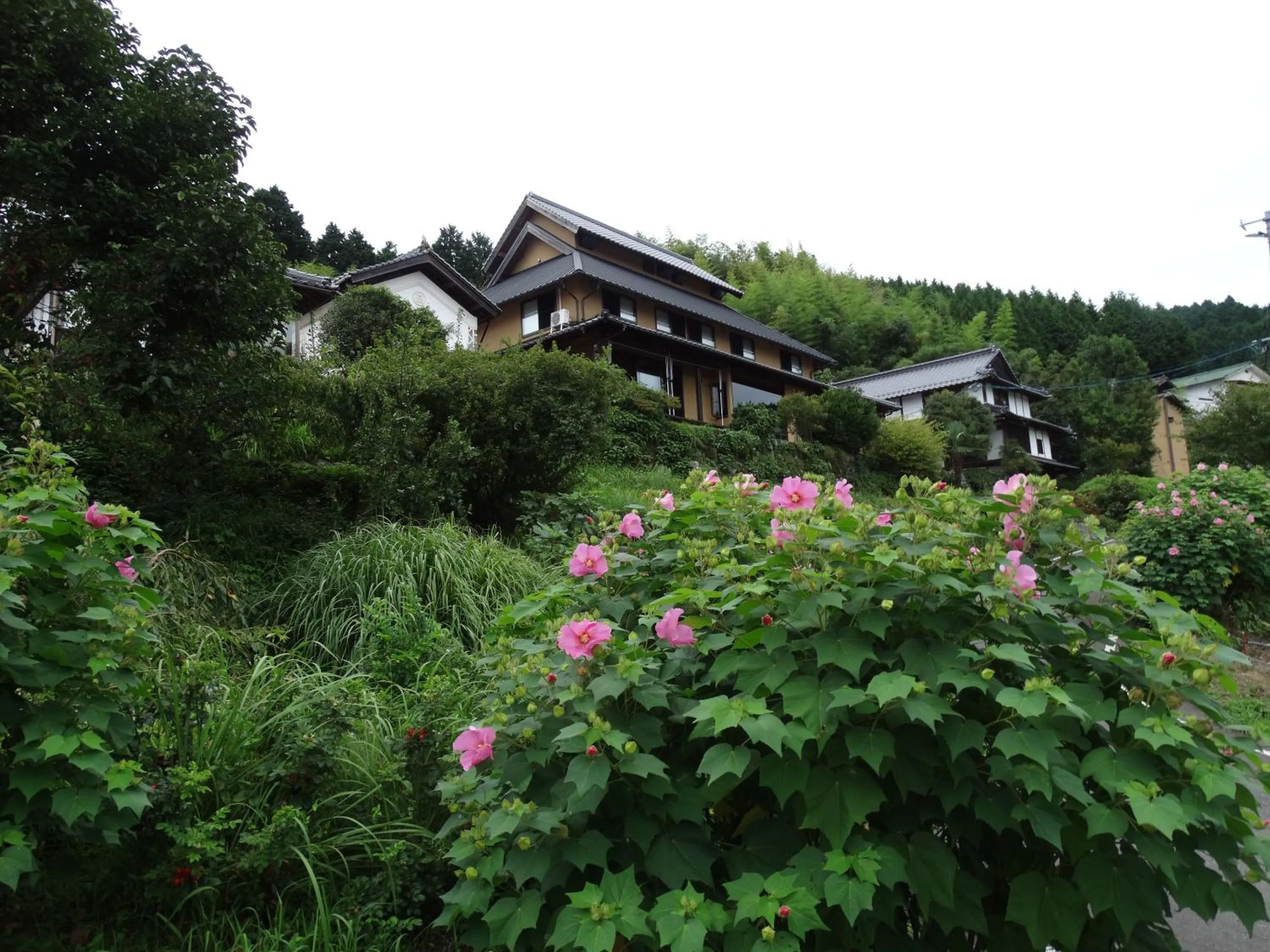 Property building in Aunsanbo