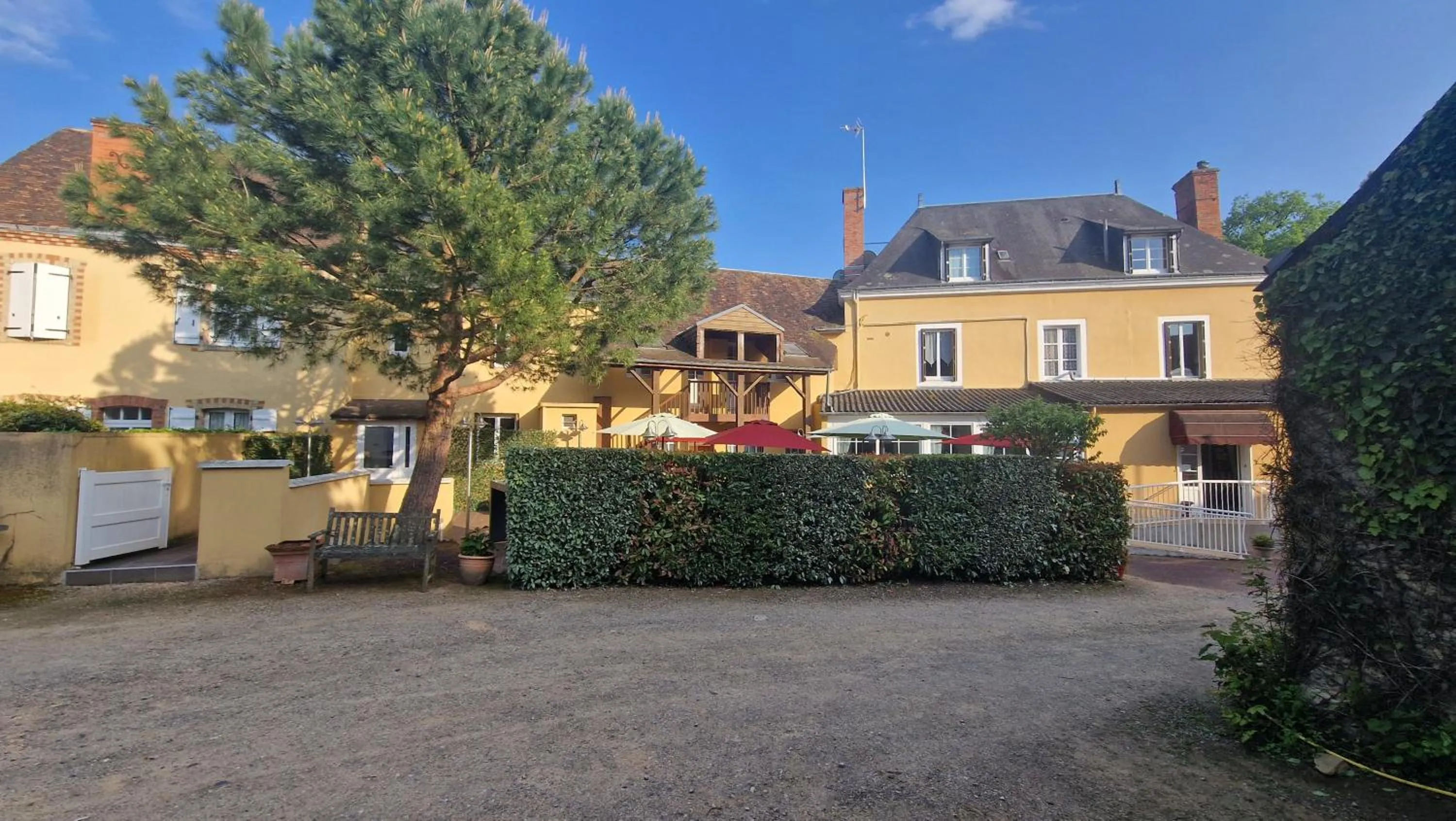 Garden view in Hôtel Saint Jacques