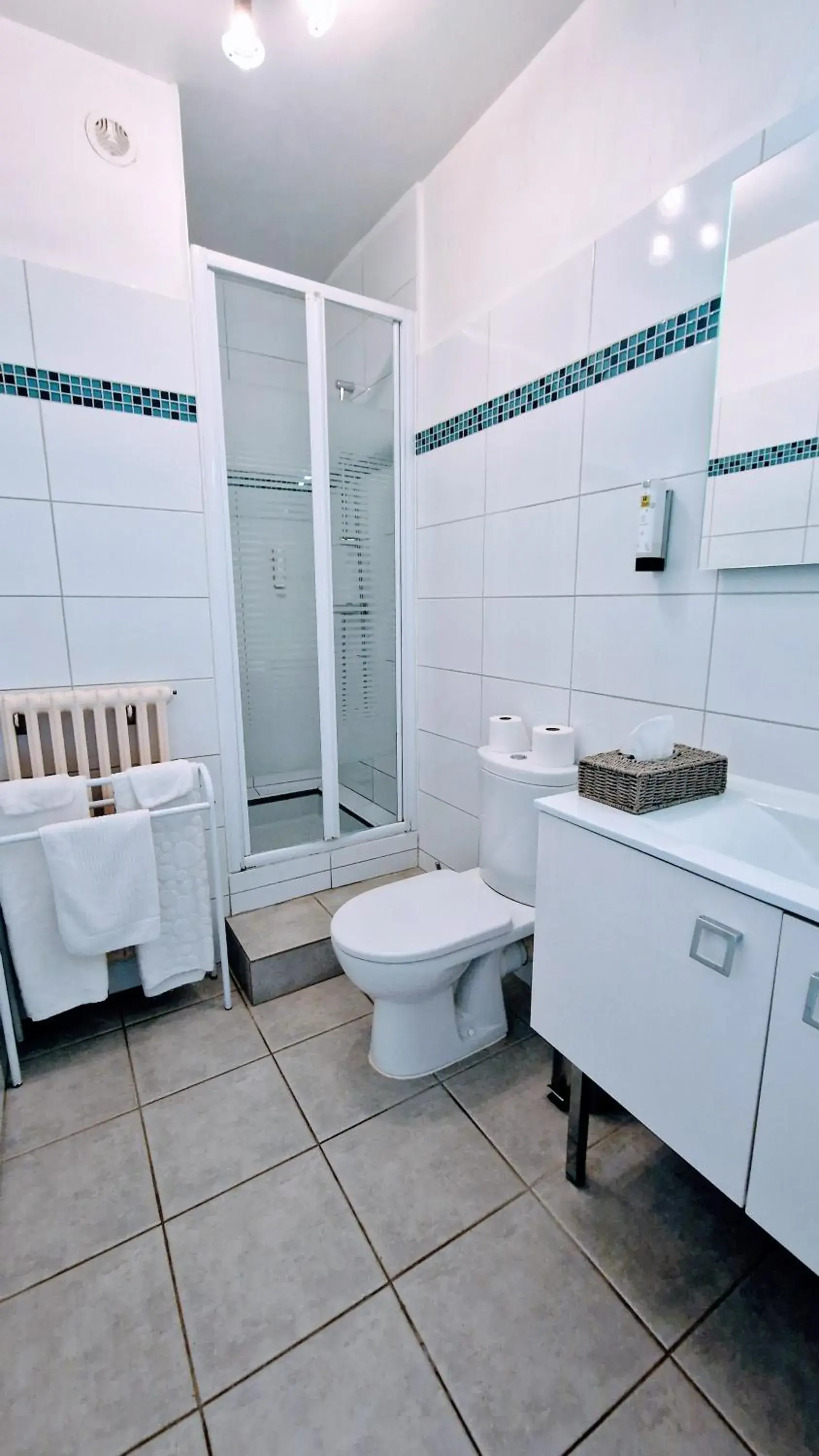 Double Room in Hôtel Saint Jacques Double Room in Hôtel Saint Jacques