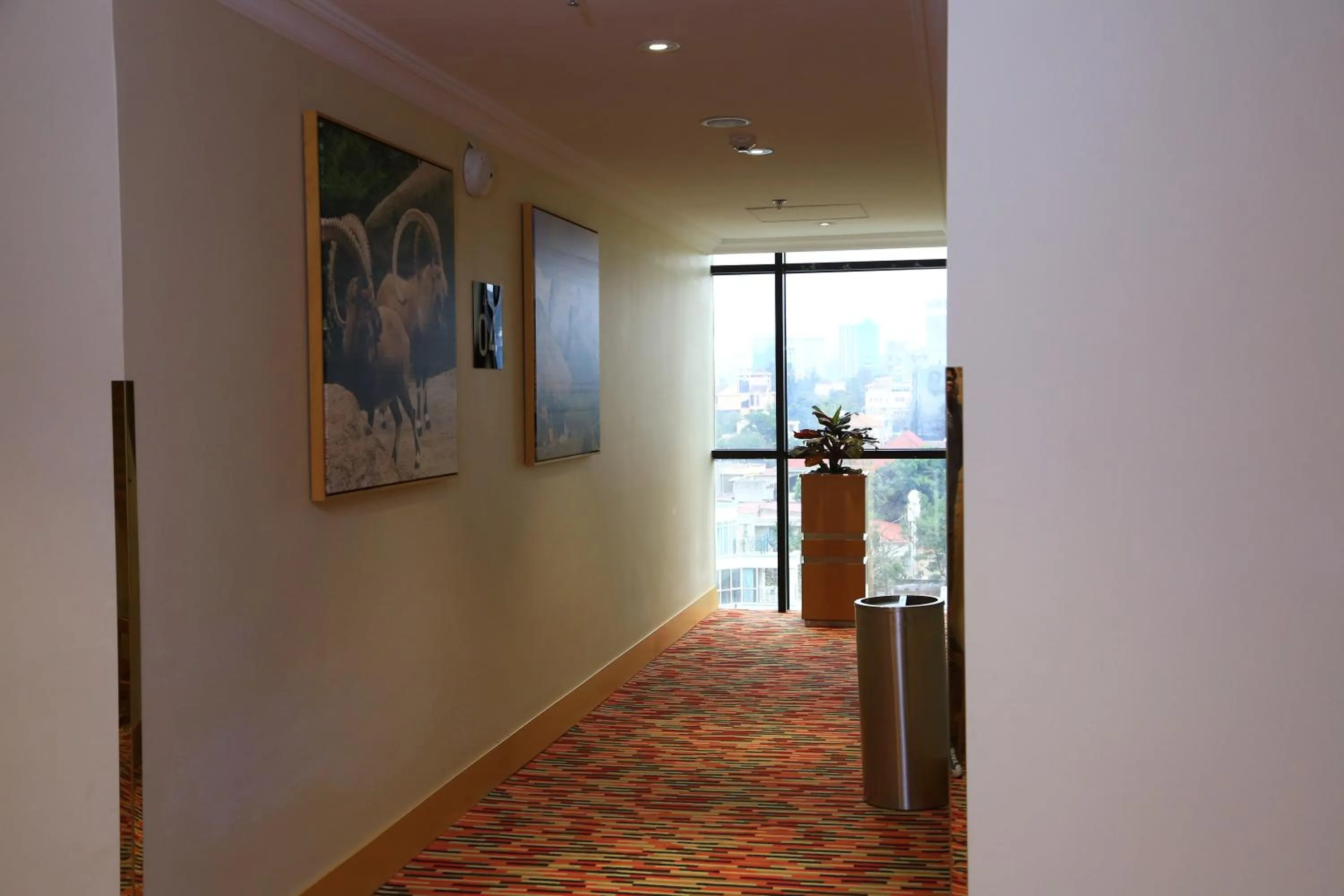 Spring in Ramada Addis, Addis Ababa