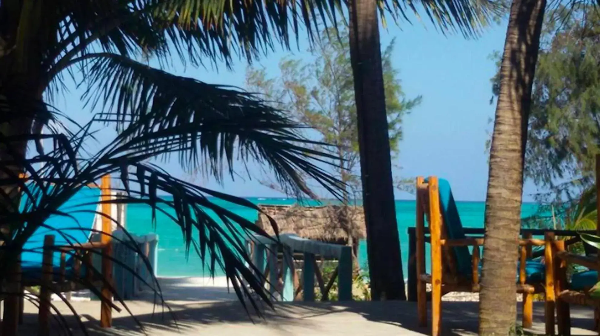 Restaurant/places to eat in Paje Beach Apartments & Hotel Restaurant/places to eat in Paje Beach Apartments & Hotel