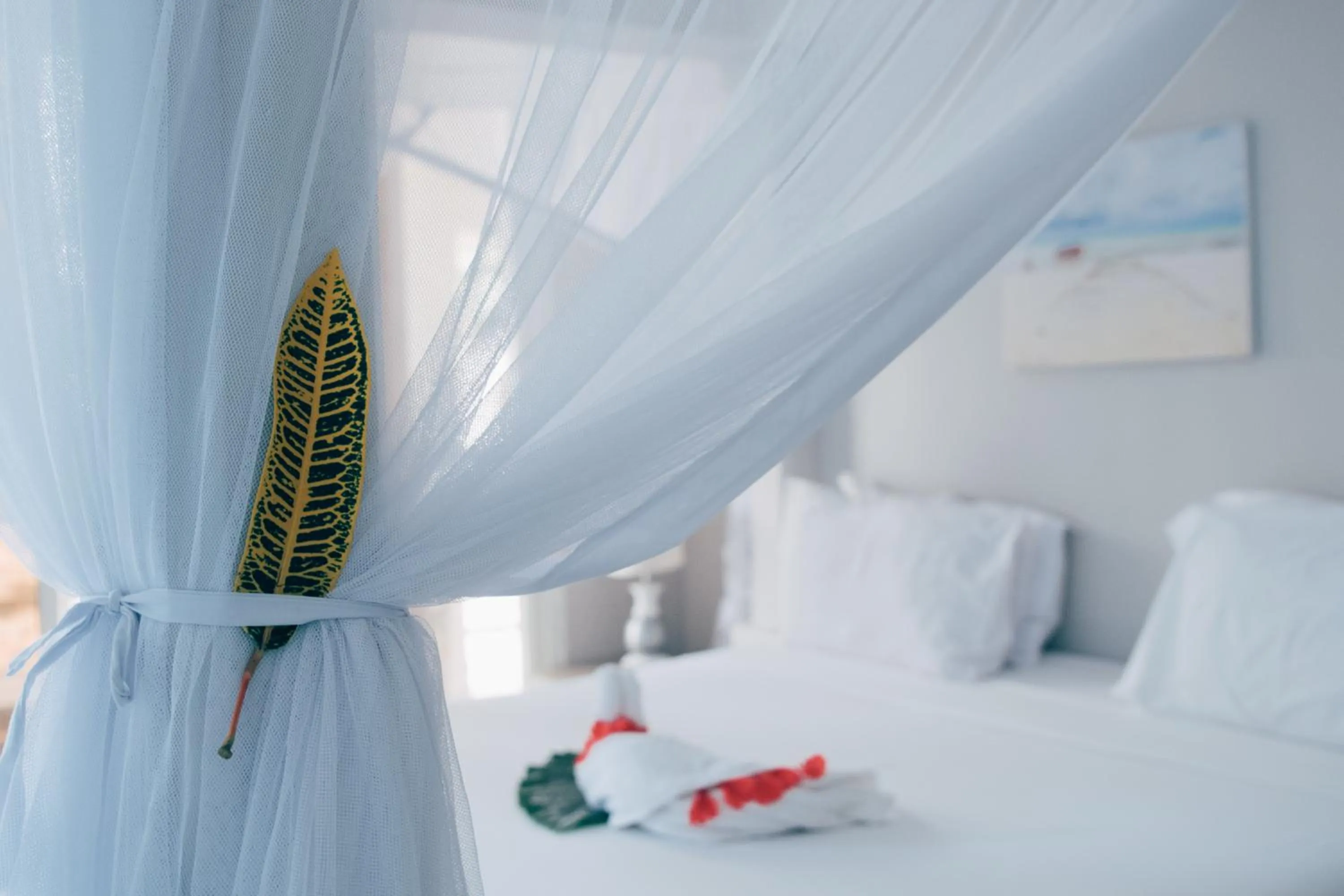 Photo of the whole room, Bed in Paje Beach Apartments & Hotel