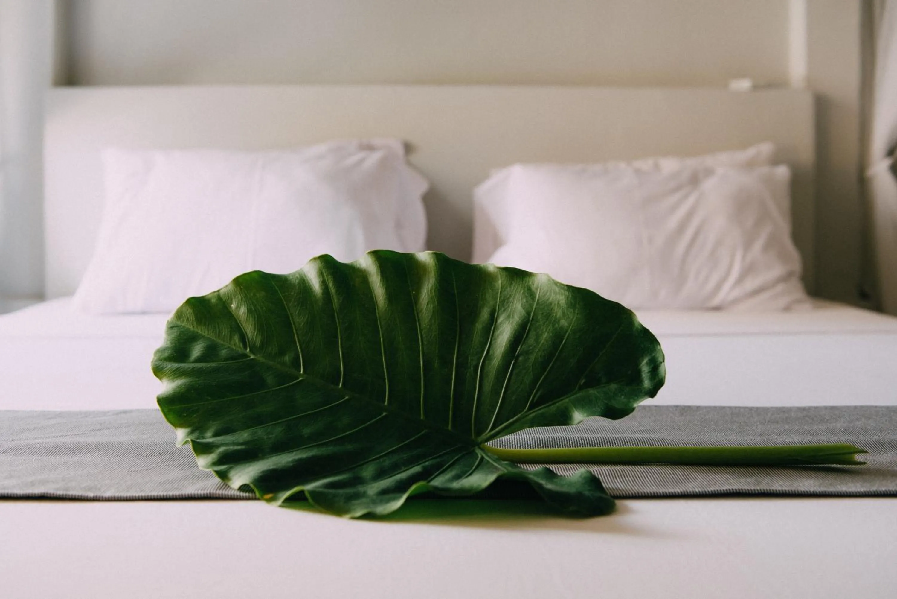 Property building, Bed in Paje Beach Apartments & Hotel