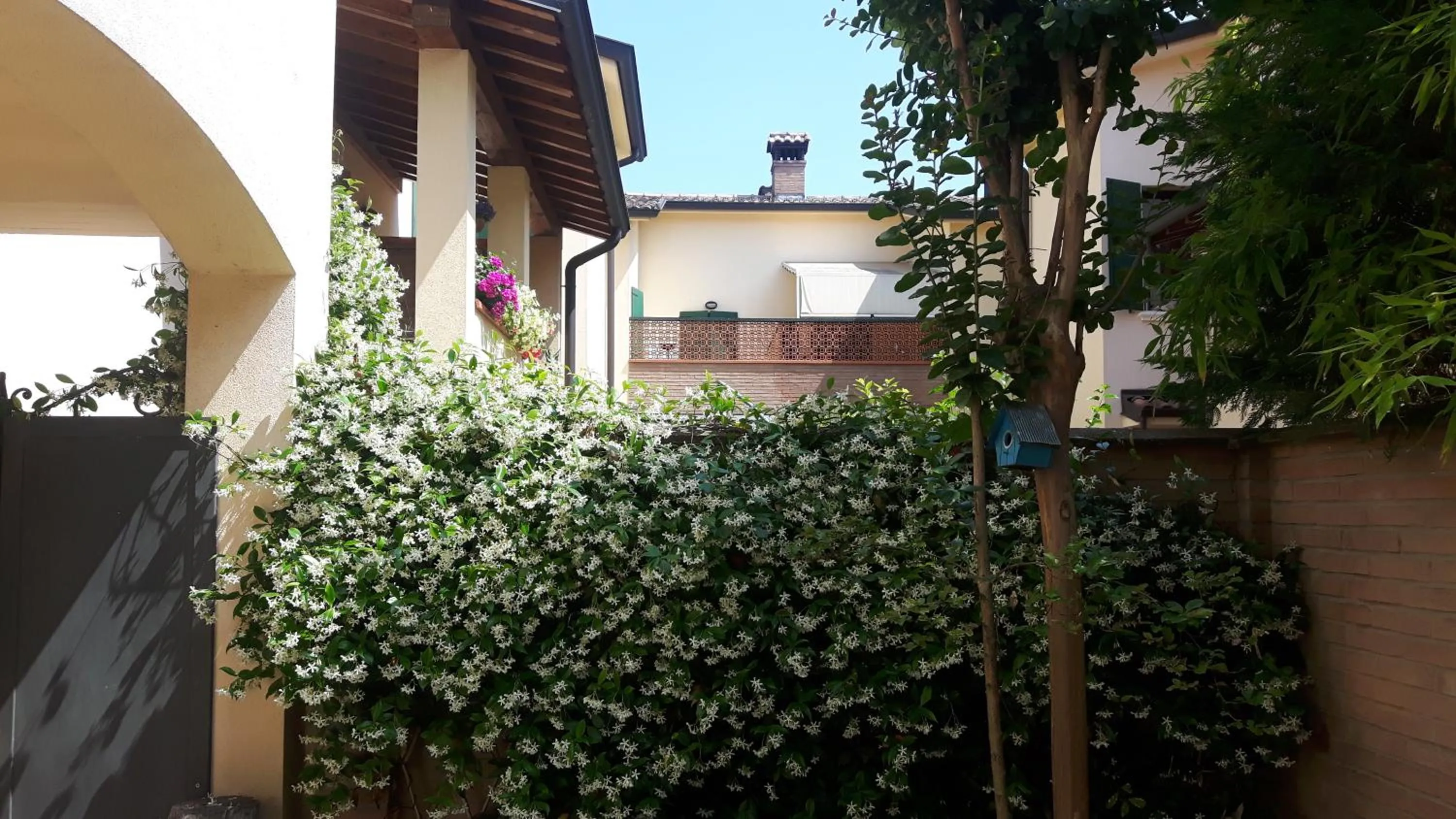 Garden in La Casetta