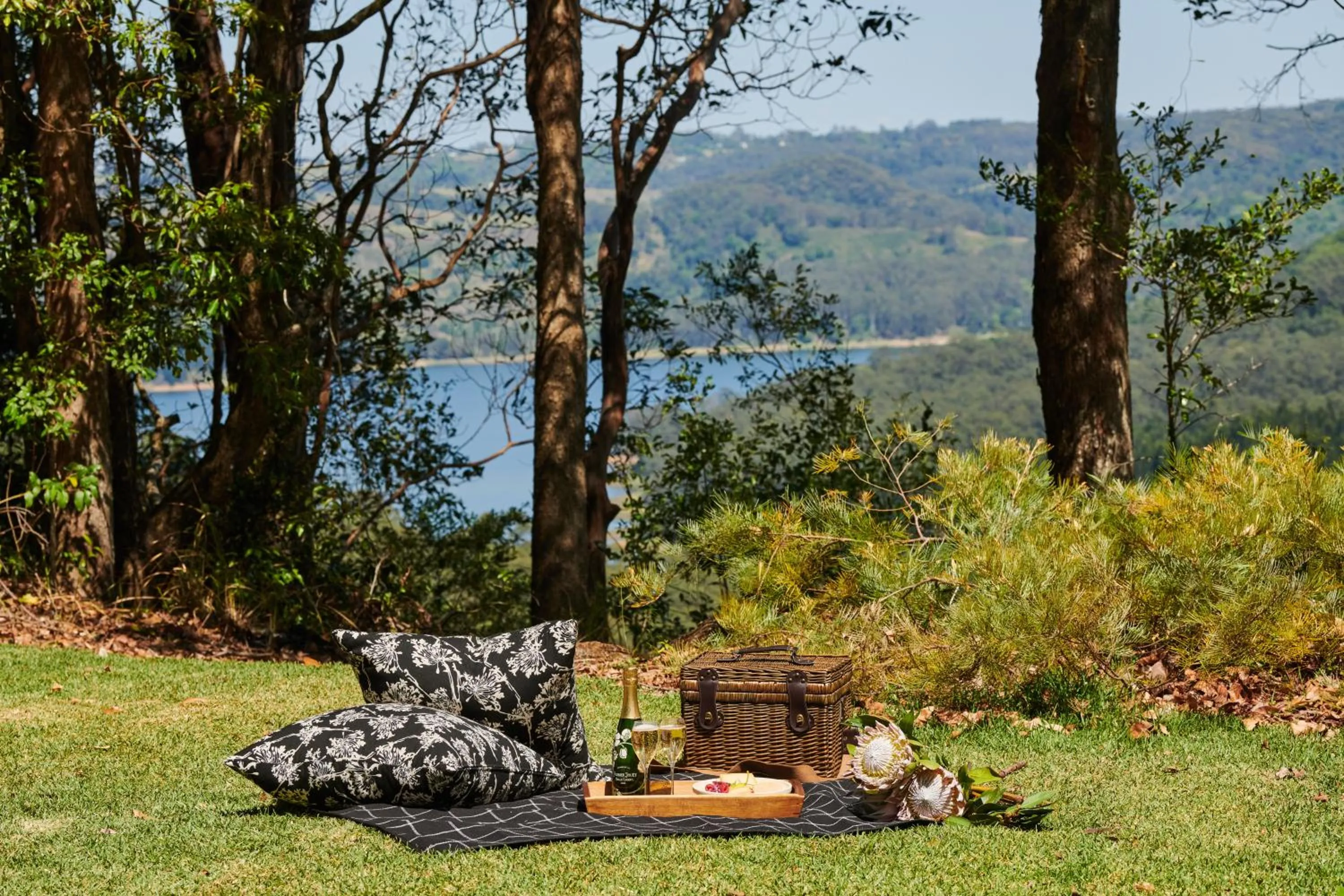 Natural landscape in Spicers Clovelly Estate