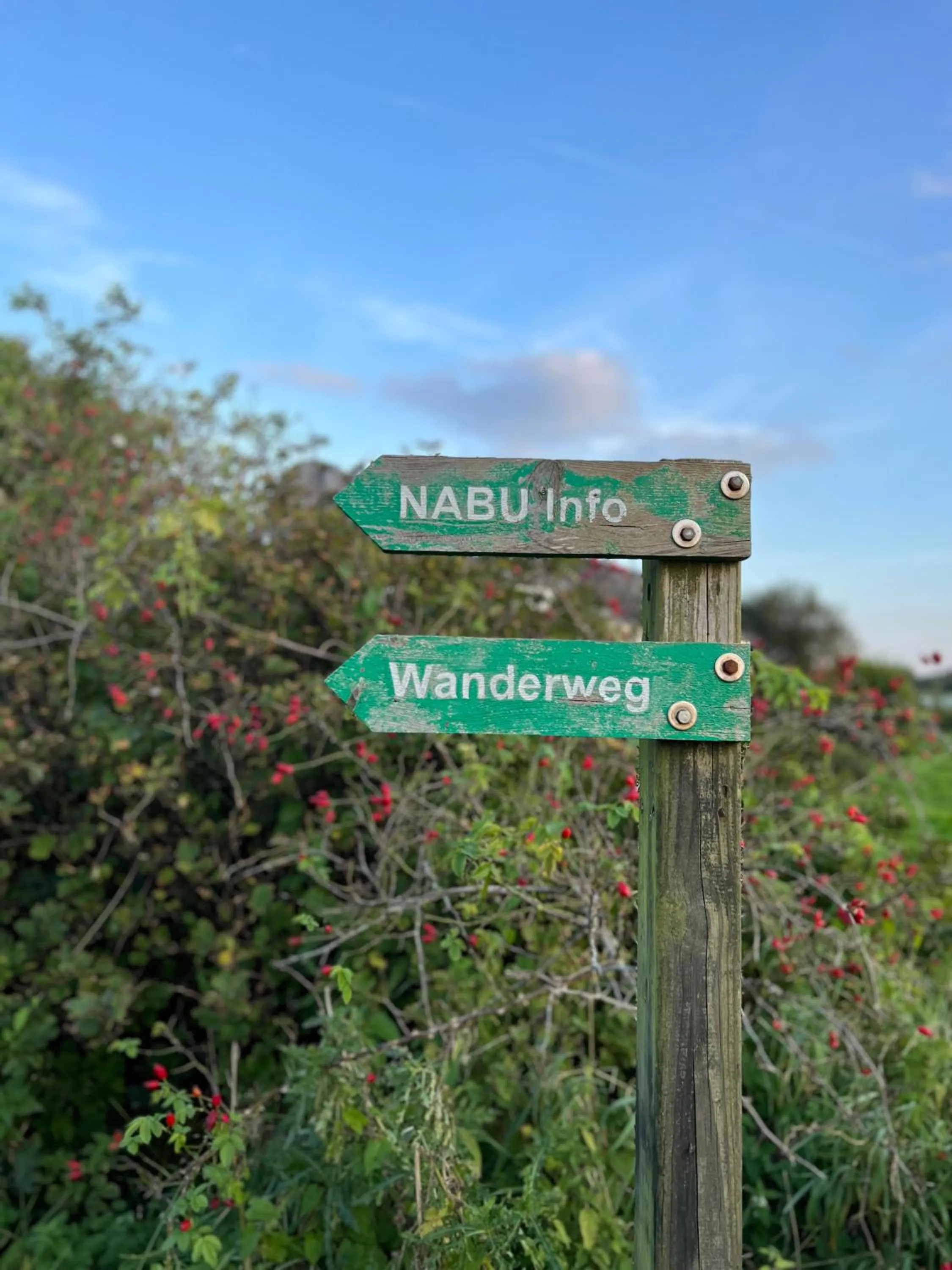Natural landscape in Ostsee-Strandhaus-Holnis