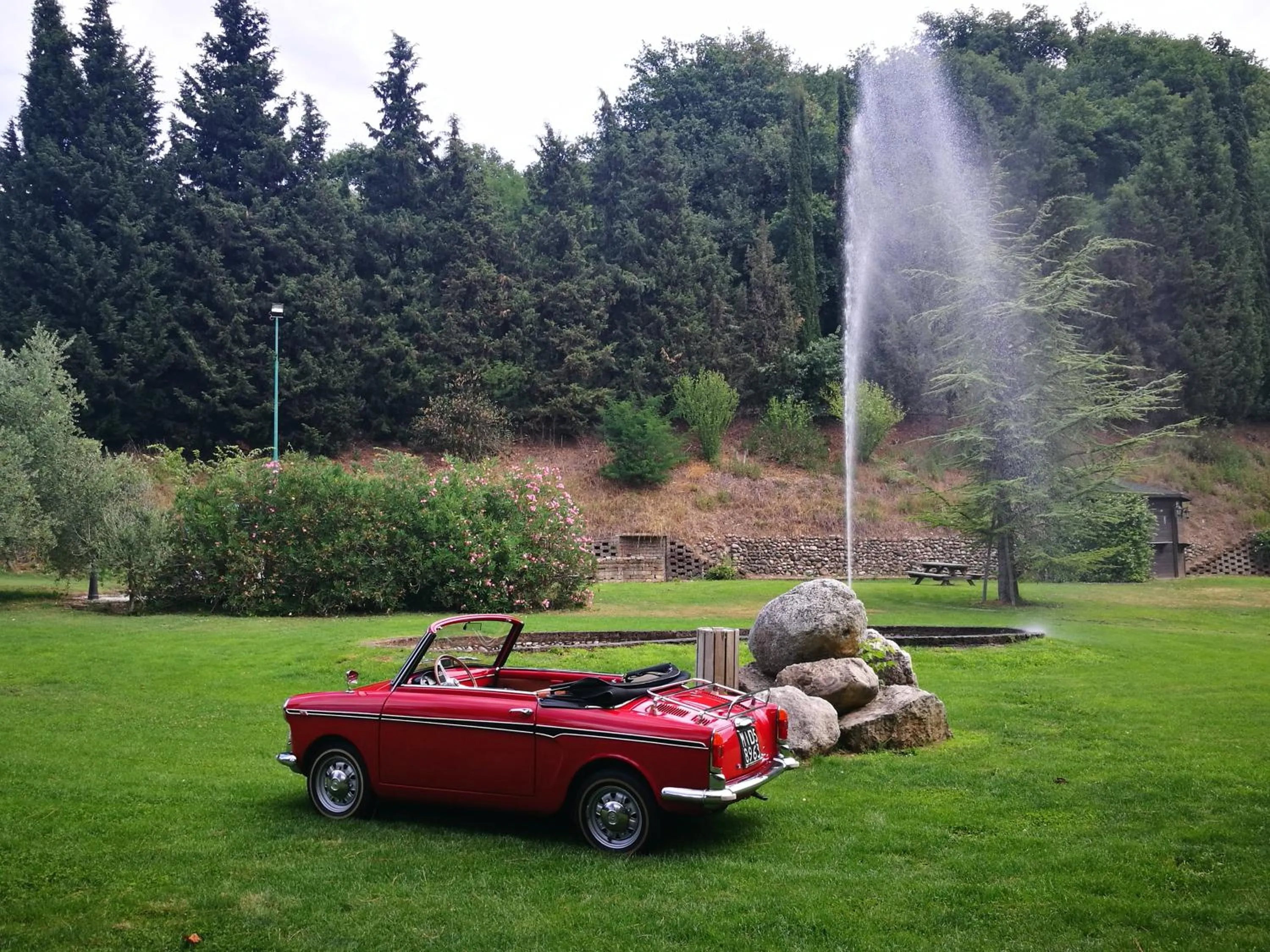 Garden in Resort La Mola