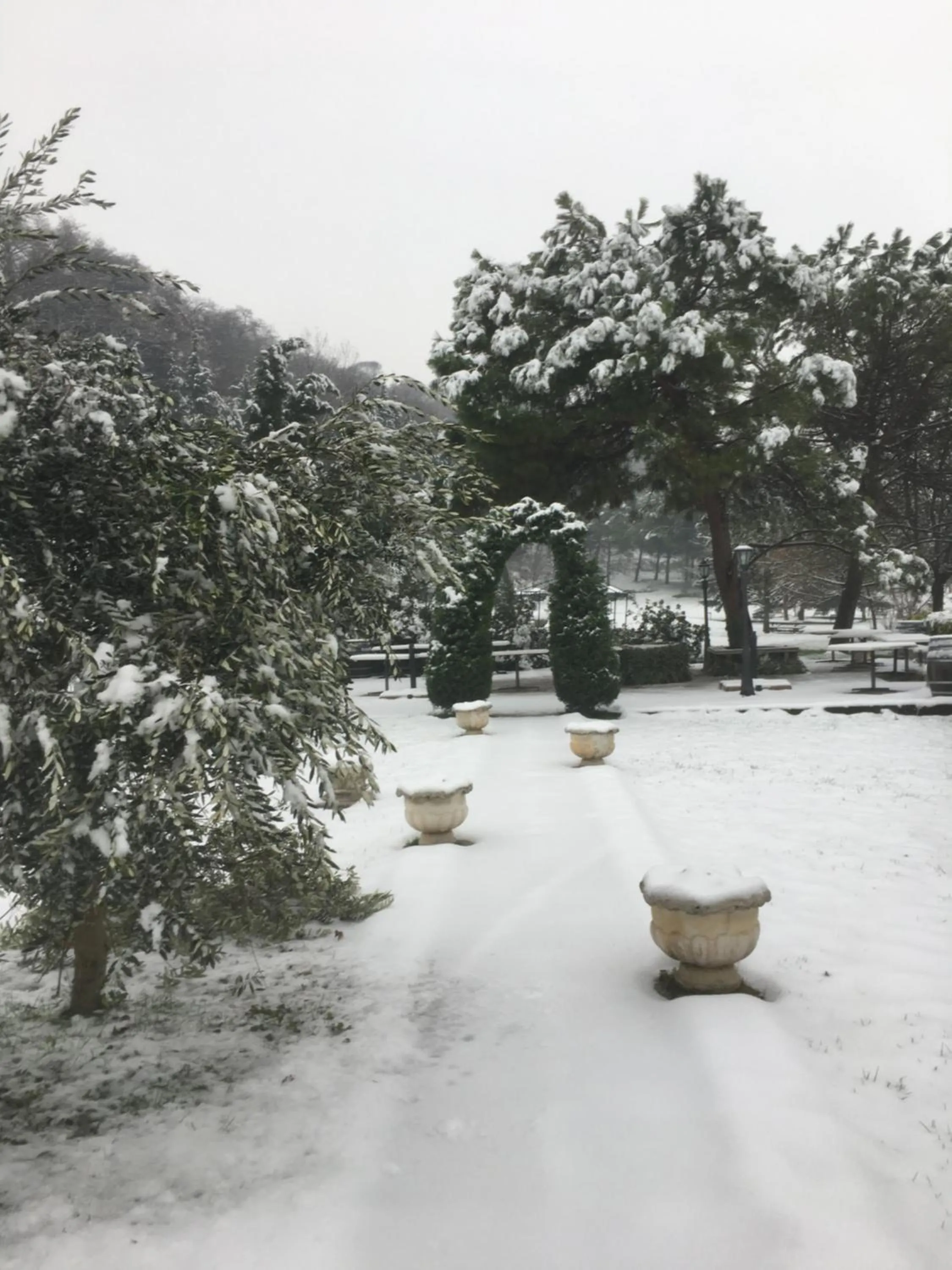 Winter in Resort La Mola