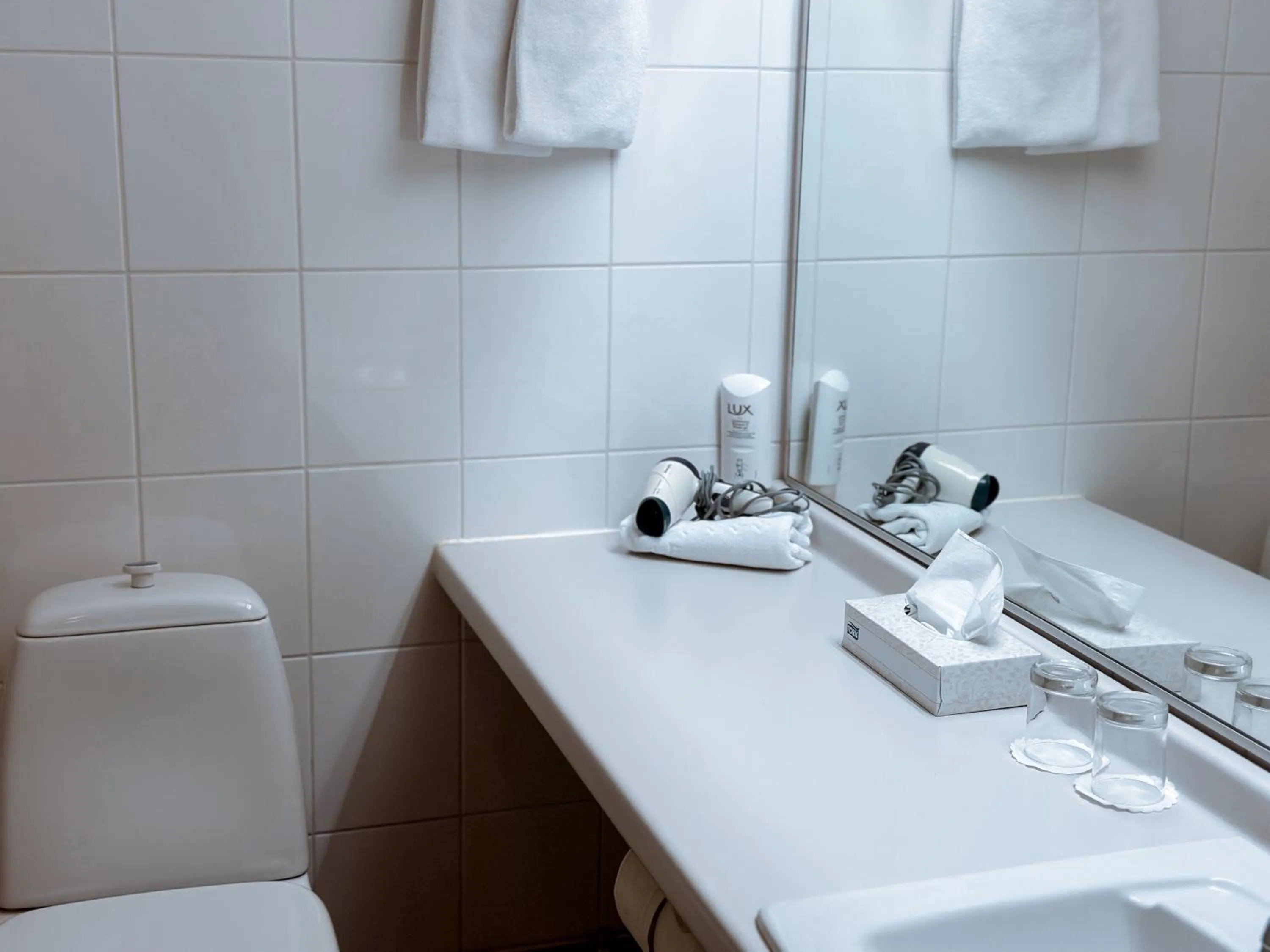 Toilet in Hotel Sommelo