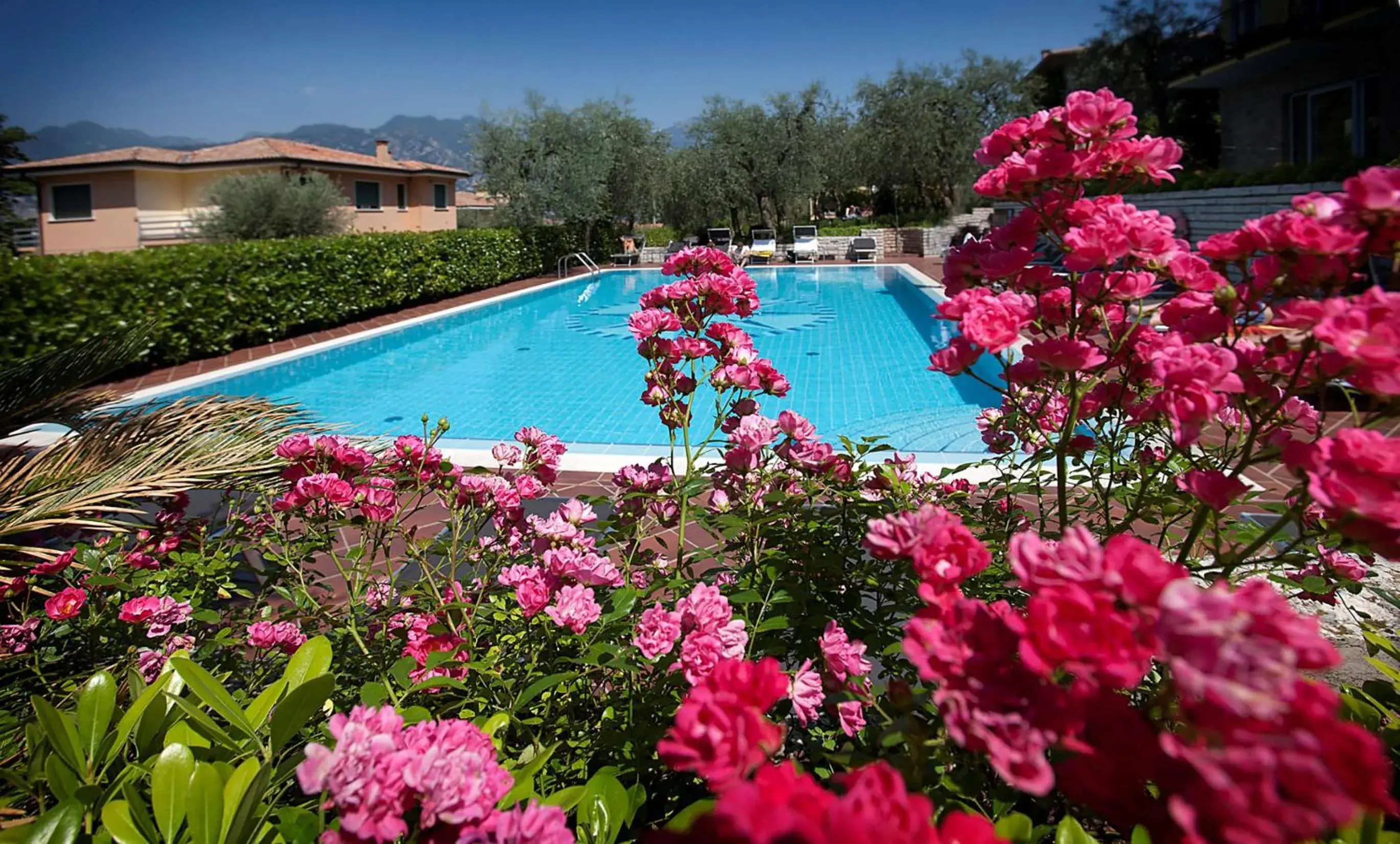 Swimming Pool in Wellness Hotel Casa Barca (Adult Only)