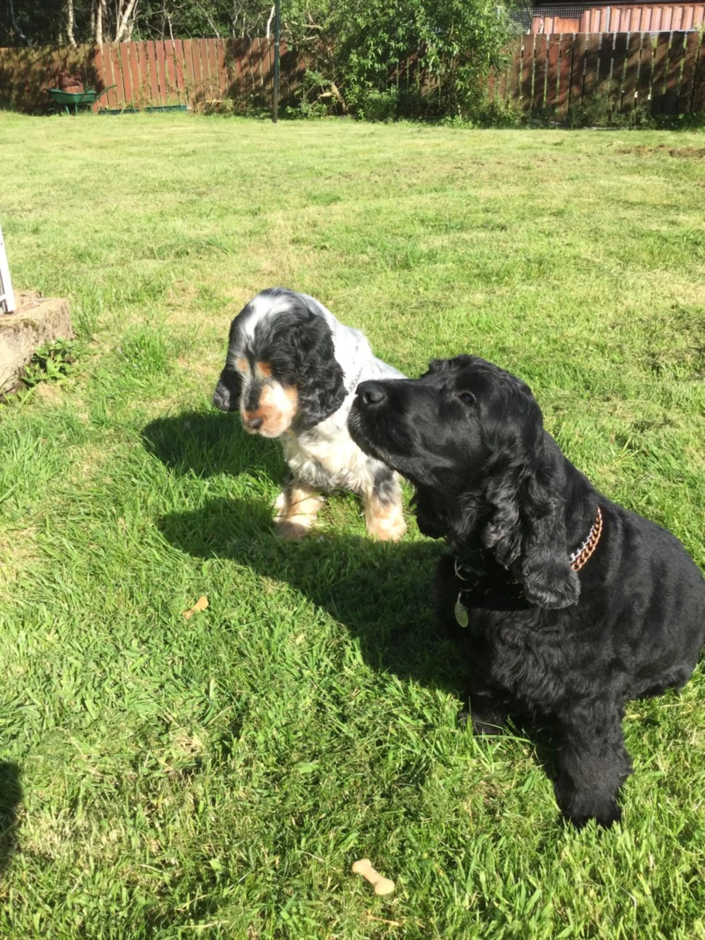 Inverlochy Villas (Adults Only)