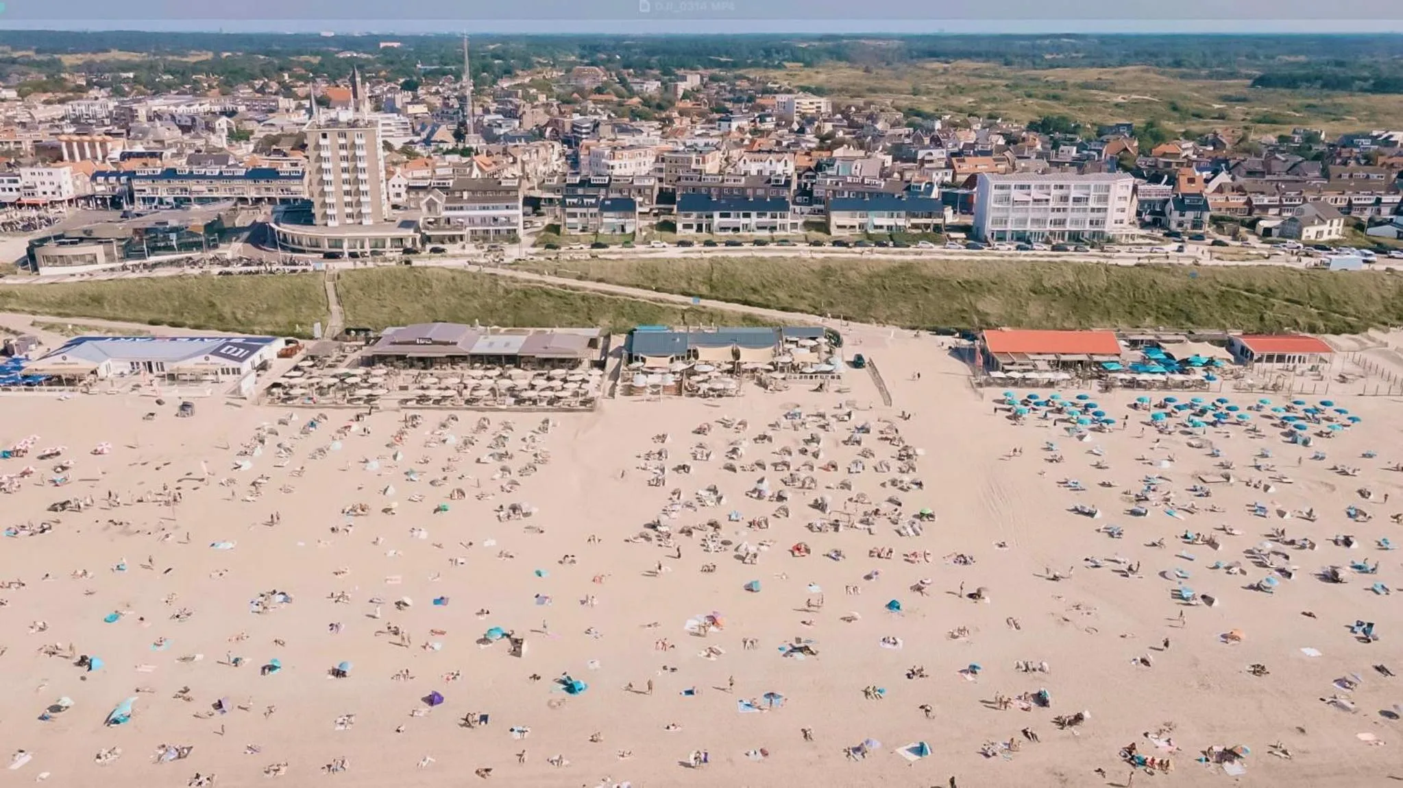 Cute Beach House Zandvoort