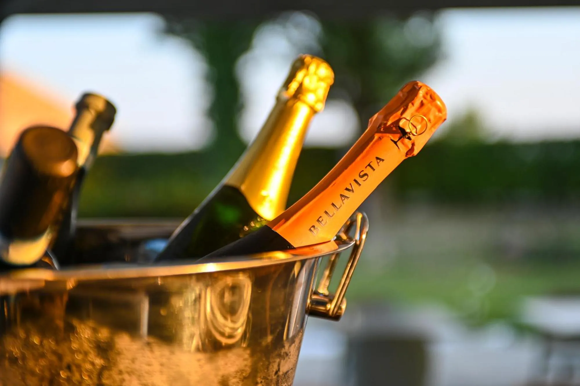 Alcoholic drinks in Best Western Hotel Green City