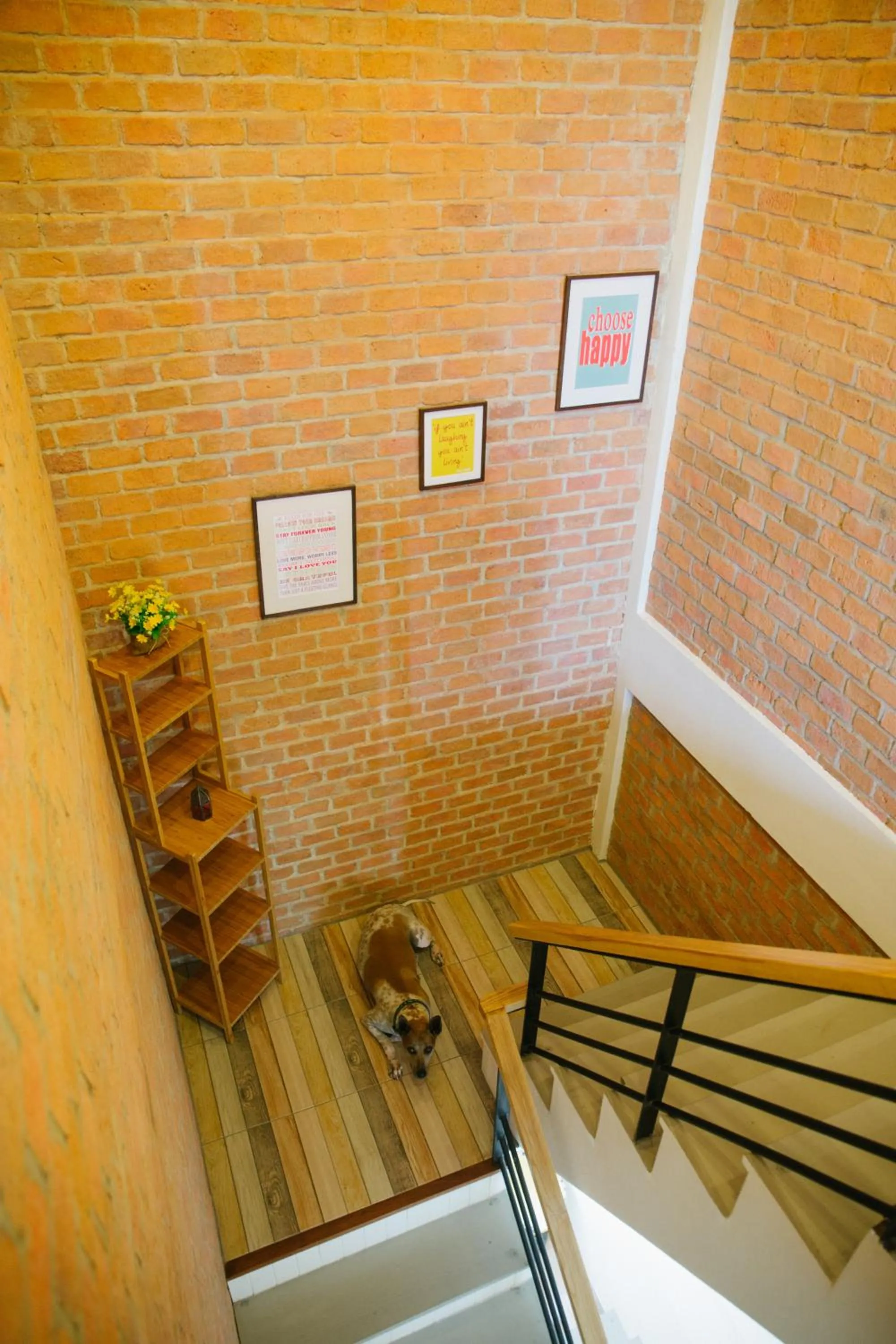 Property building in fio's house by the sea