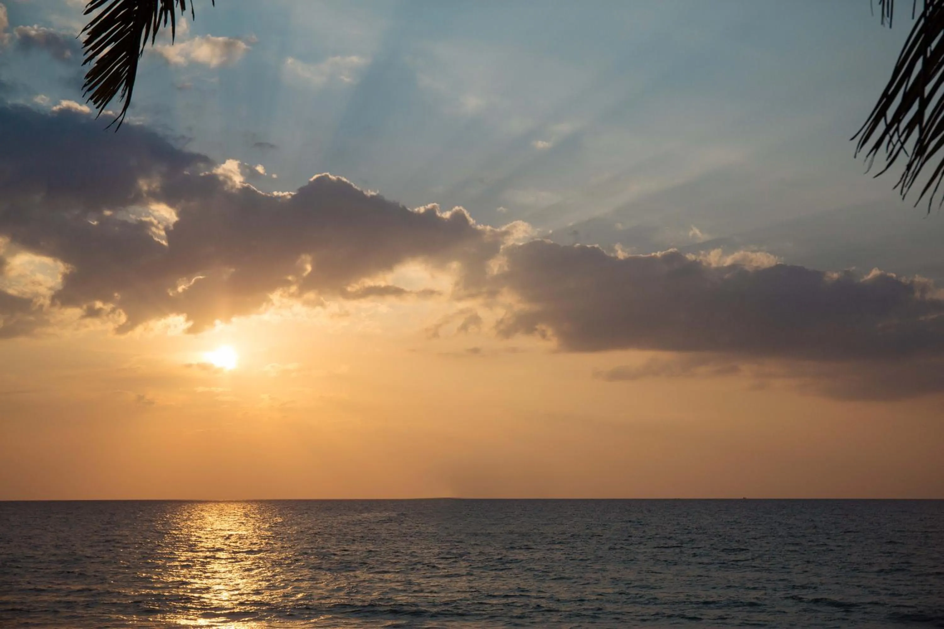 Property building in fio's house by the sea