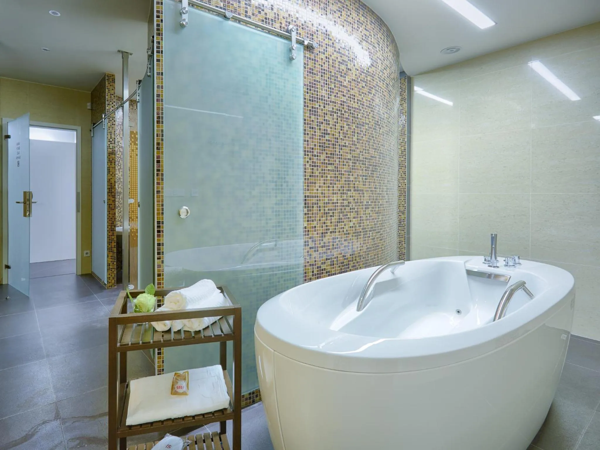 Spa and wellness centre/facilities in Spa Hotel Iris