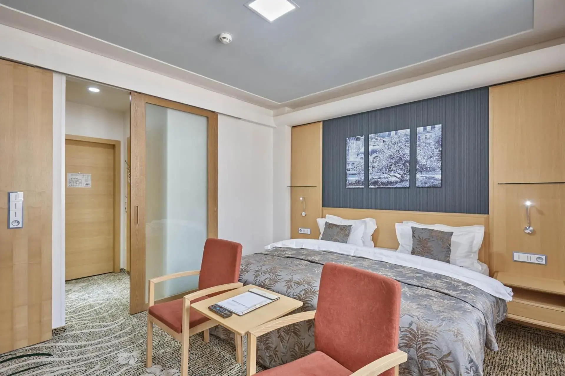 Standard Double Room with Wellness access in Spa Hotel Iris Standard Double Room with Wellness access in Spa Hotel Iris