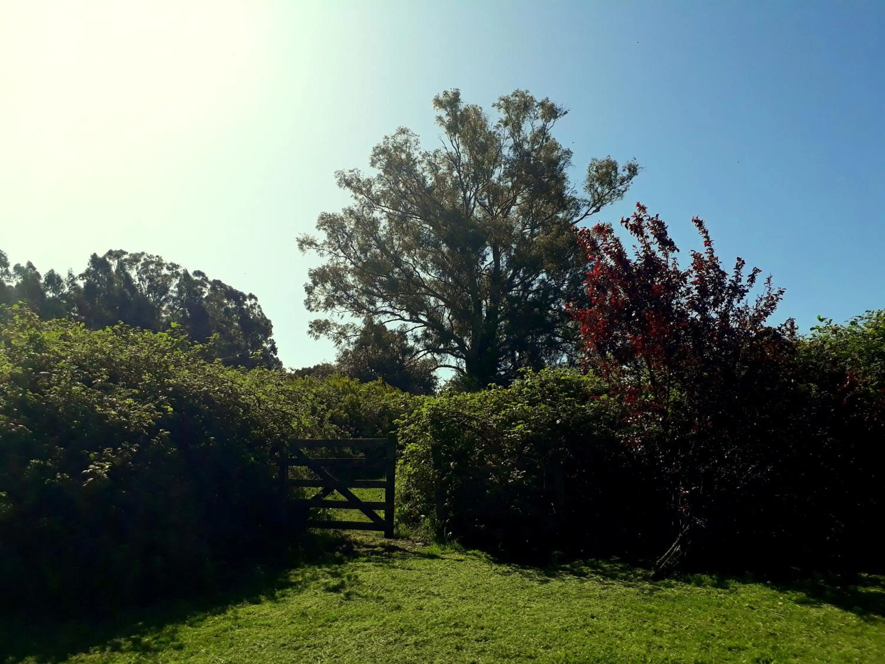 Cabañas Las Dinas