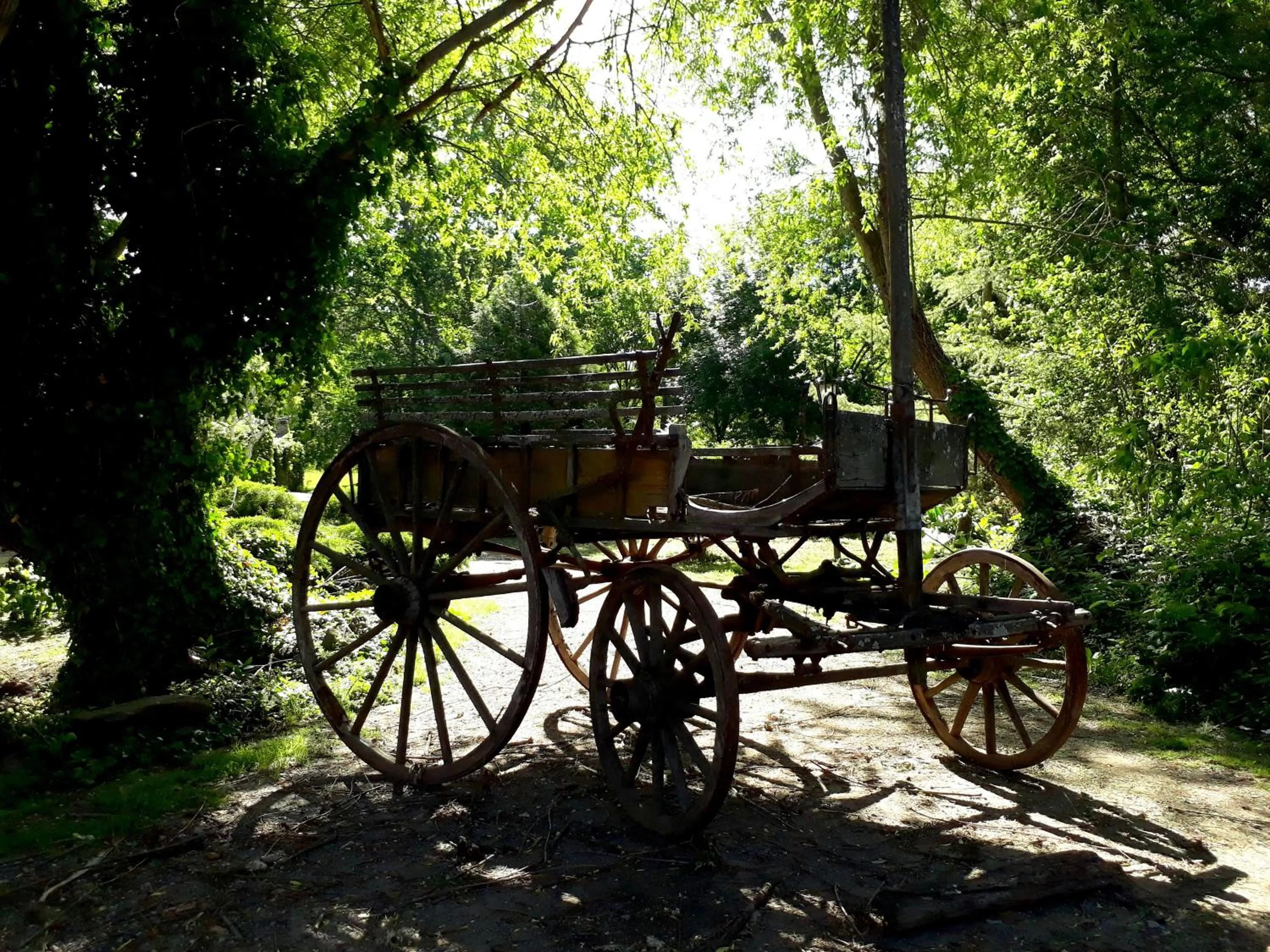 Cabañas Las Dinas
