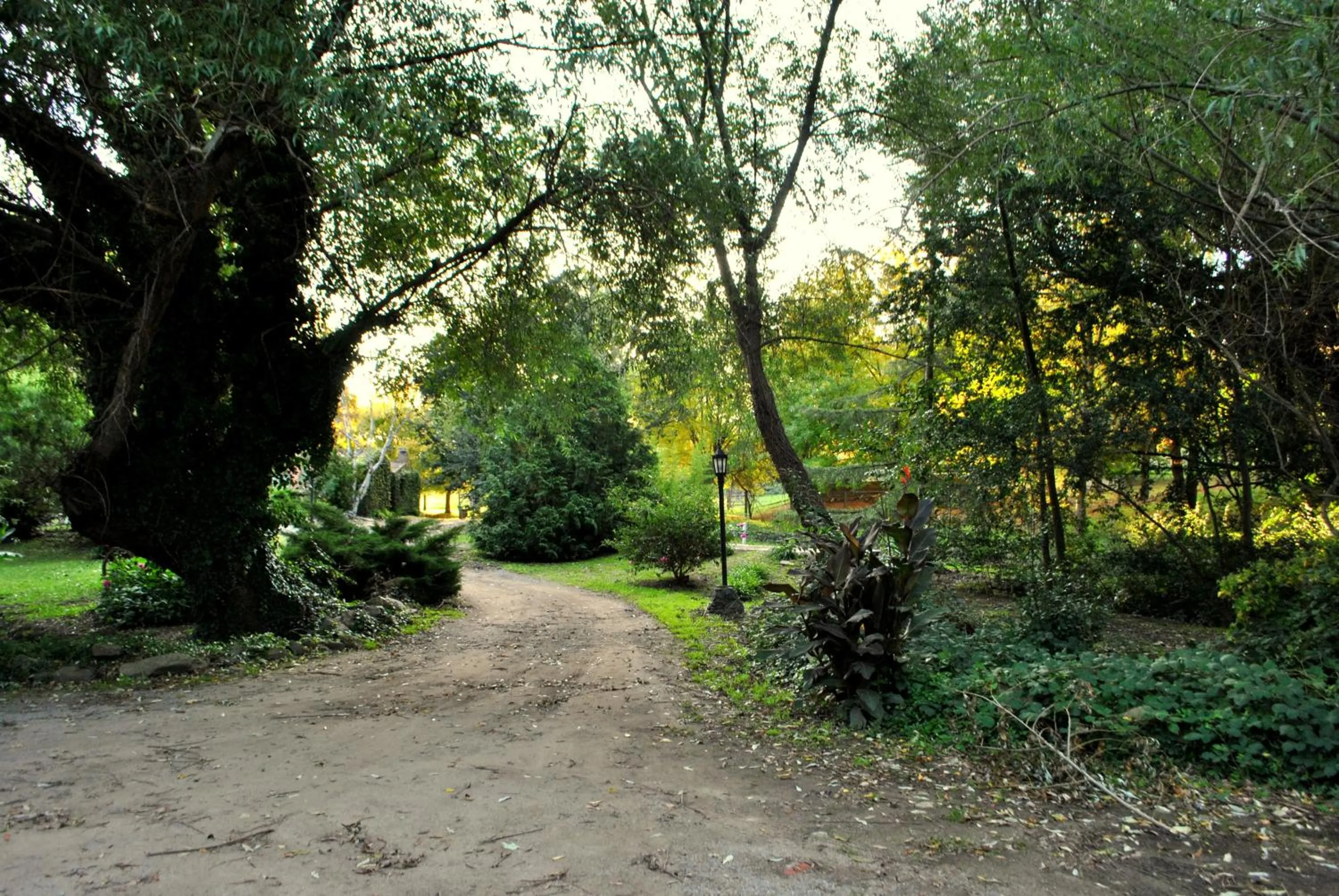 Cabañas Las Dinas