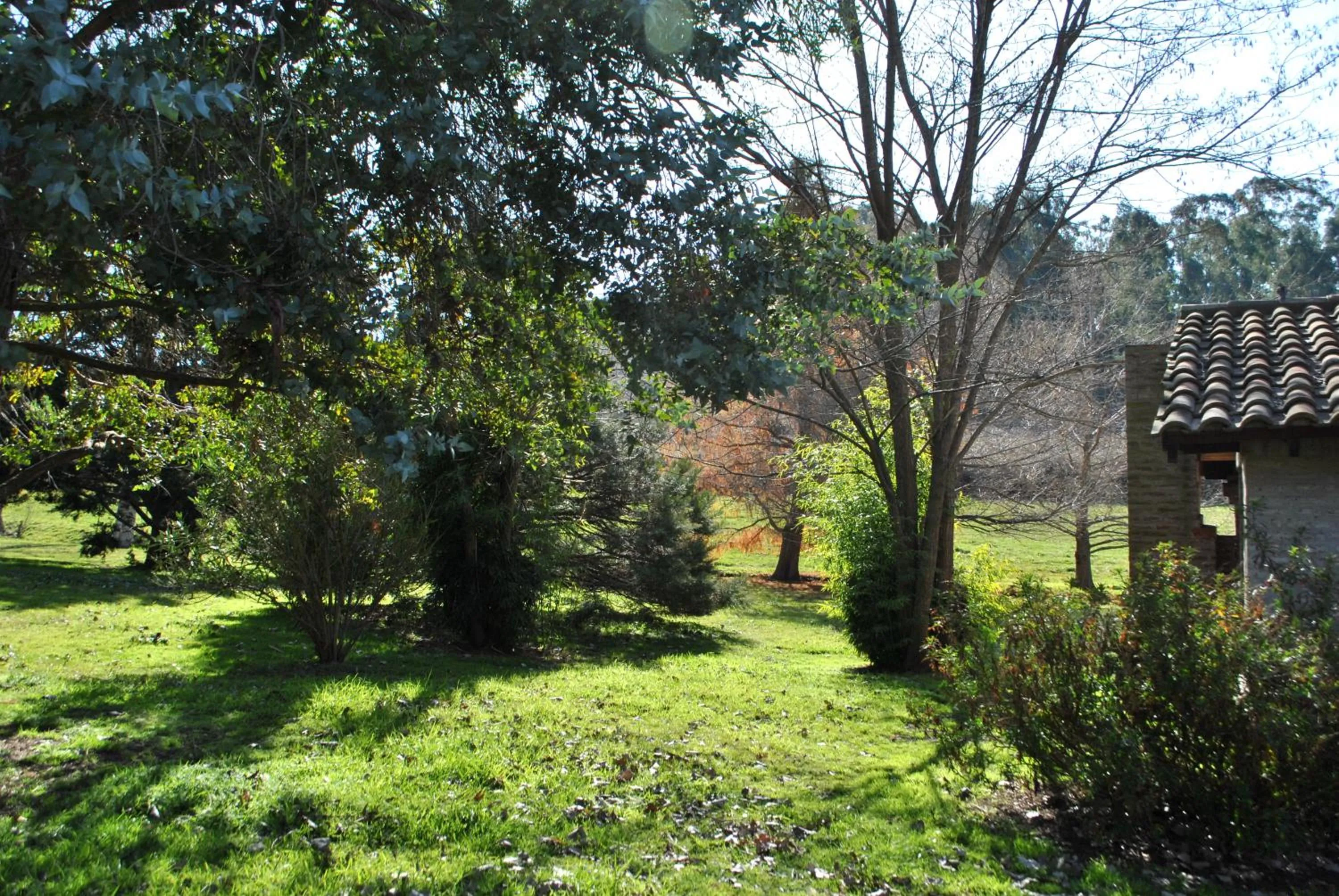 Cabañas Las Dinas