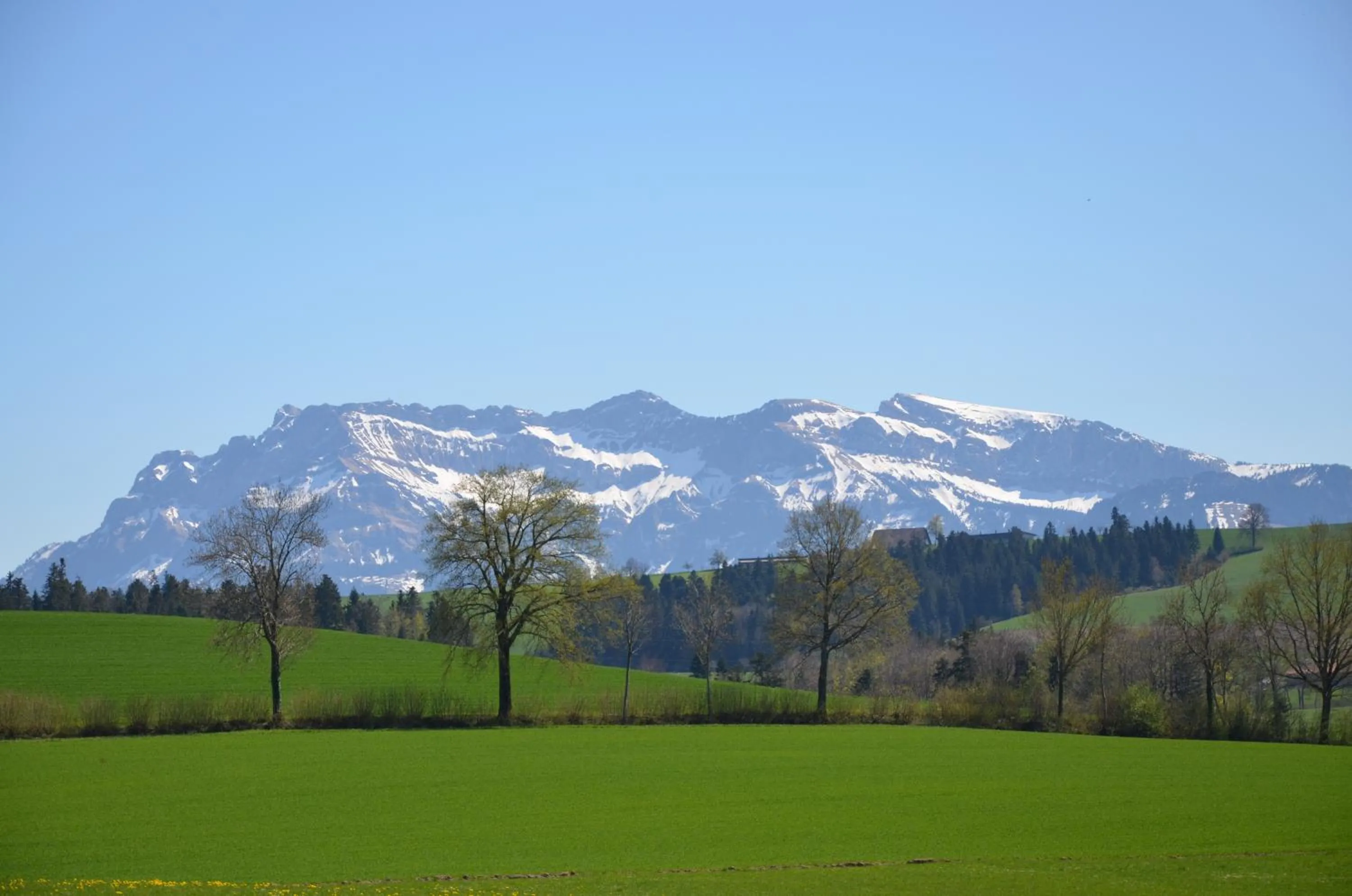 Nearby landmark in B&B Friedau