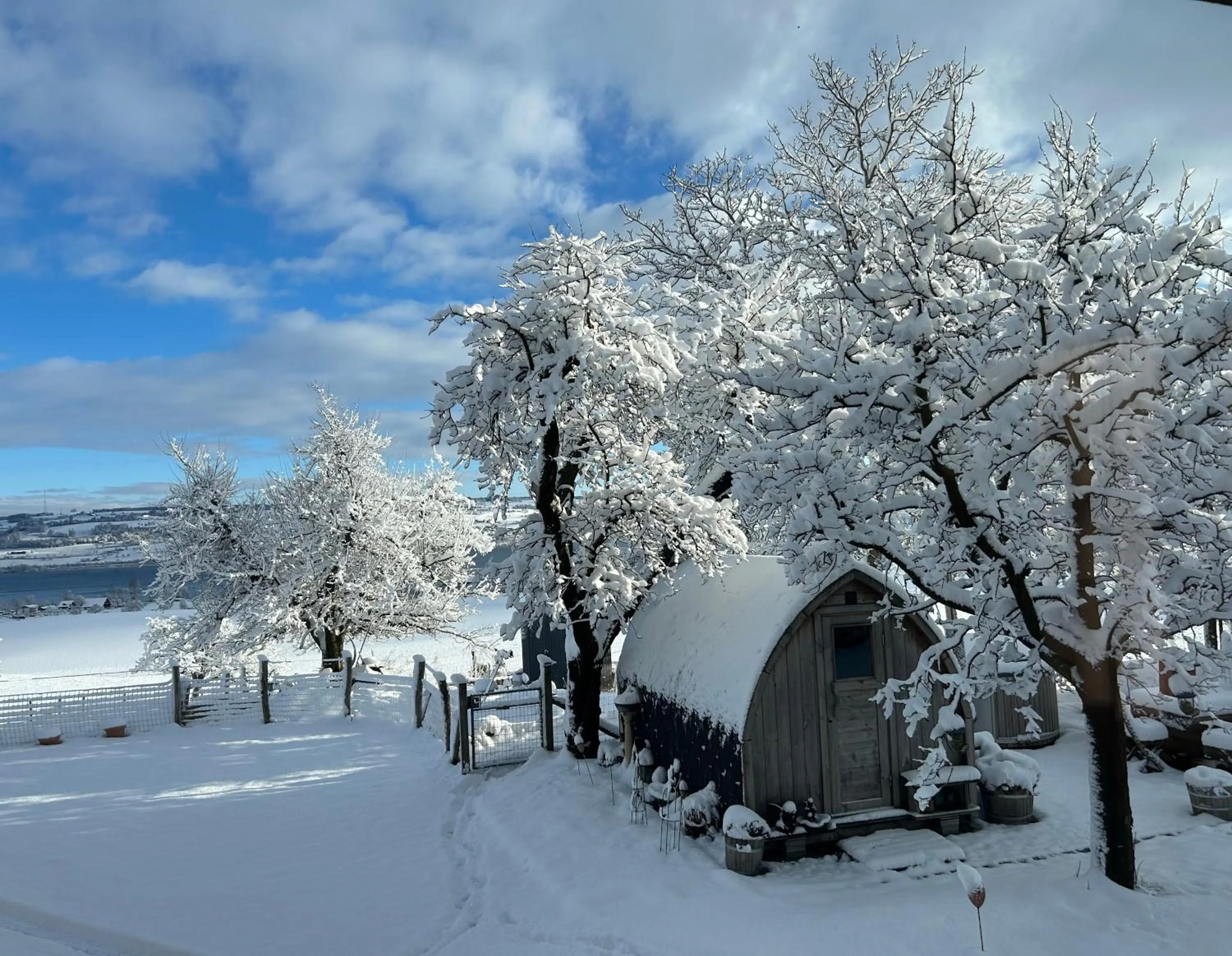 Natural landscape in B&B Friedau