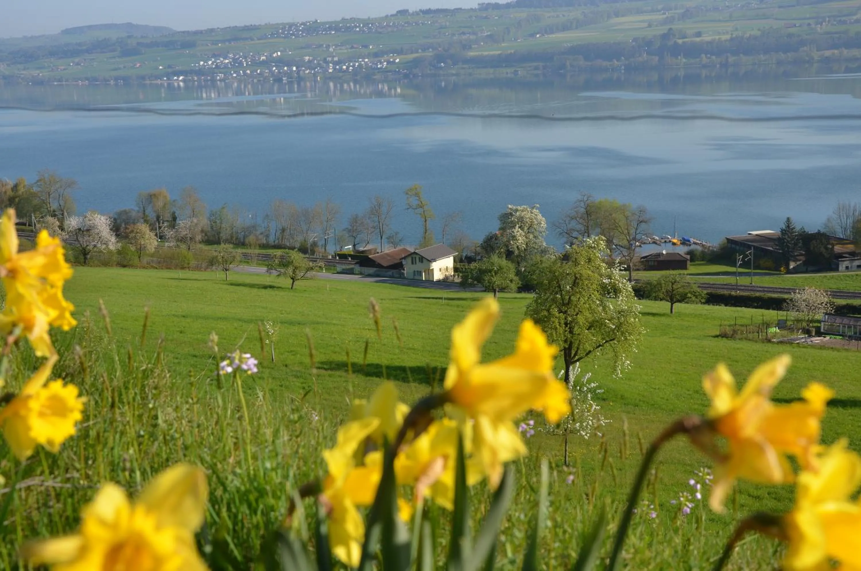 Natural landscape in B&B Friedau