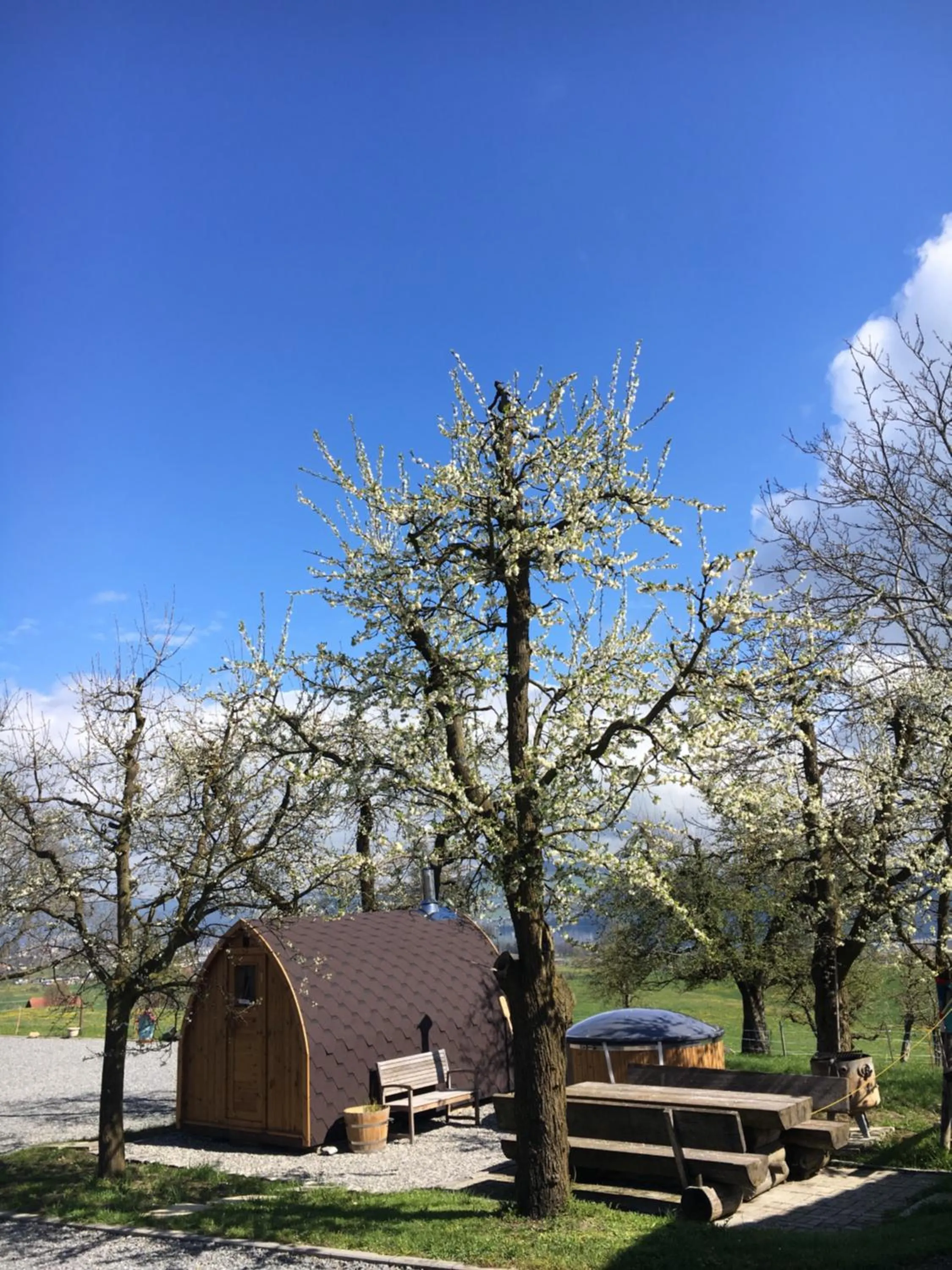 B&B Friedau