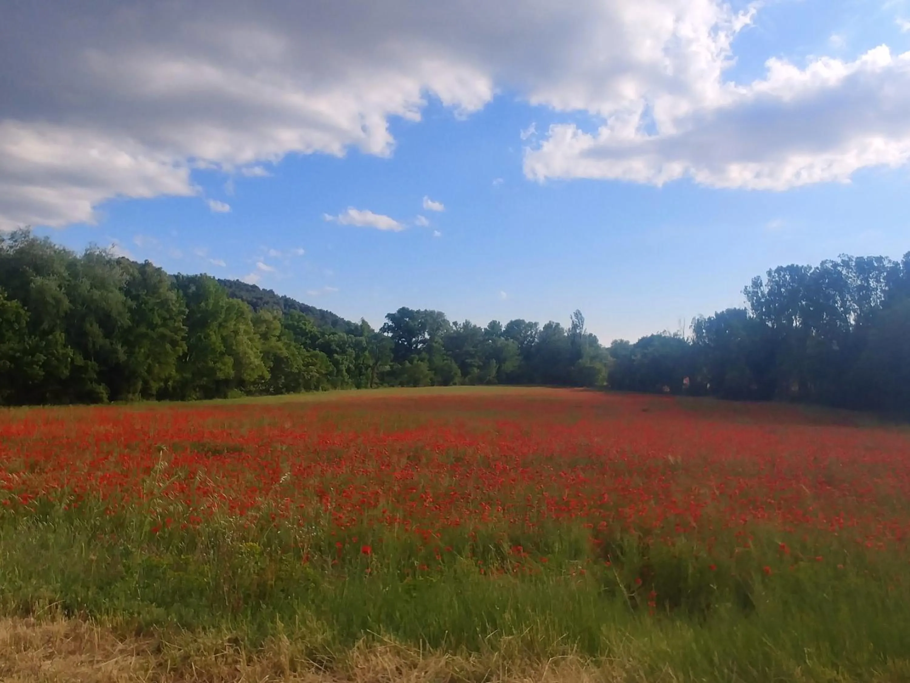 Natural landscape in L'Aiguebelle