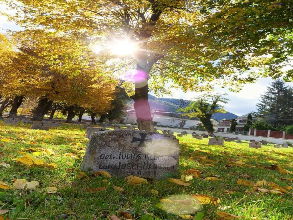 Property building in Casa Ferica