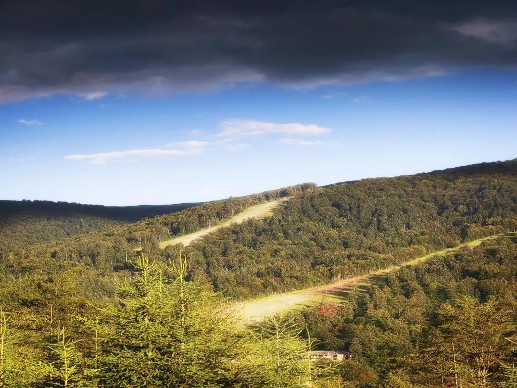 Other in Casa Ferica